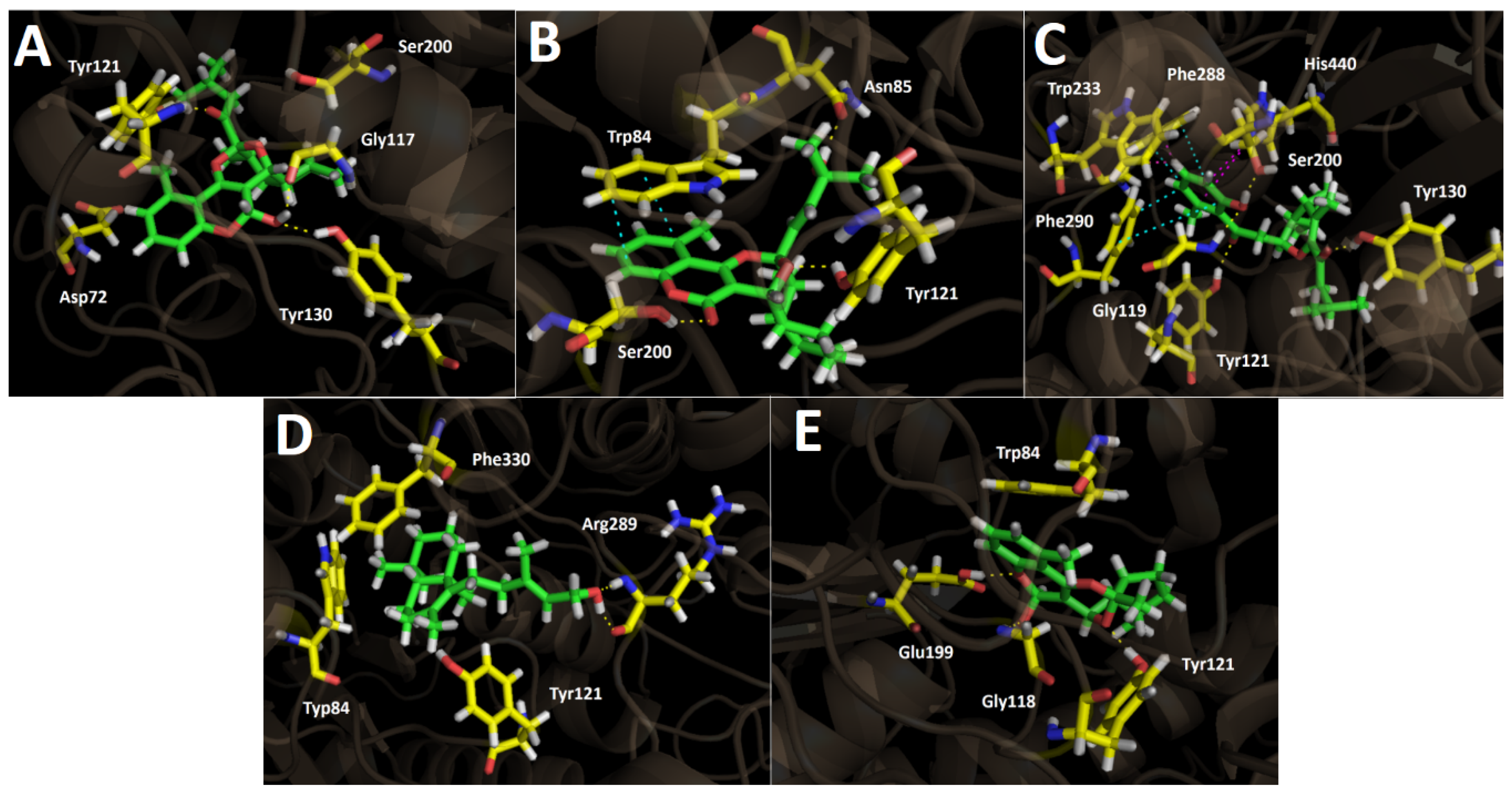 Antioxidants 11 02313 g006 Antioxidants 11 02313 g006
