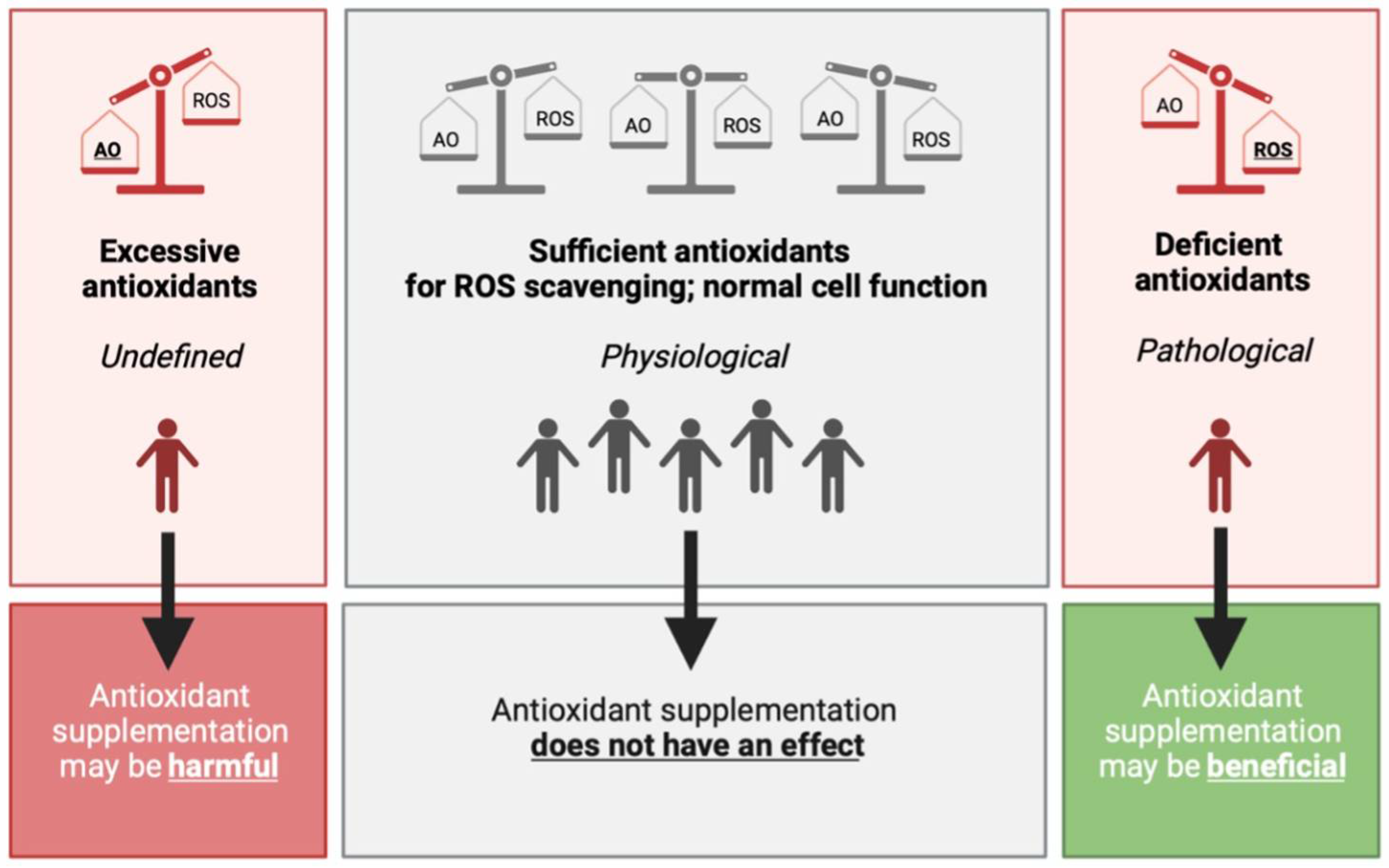 Antioxidants 11 02322 g003