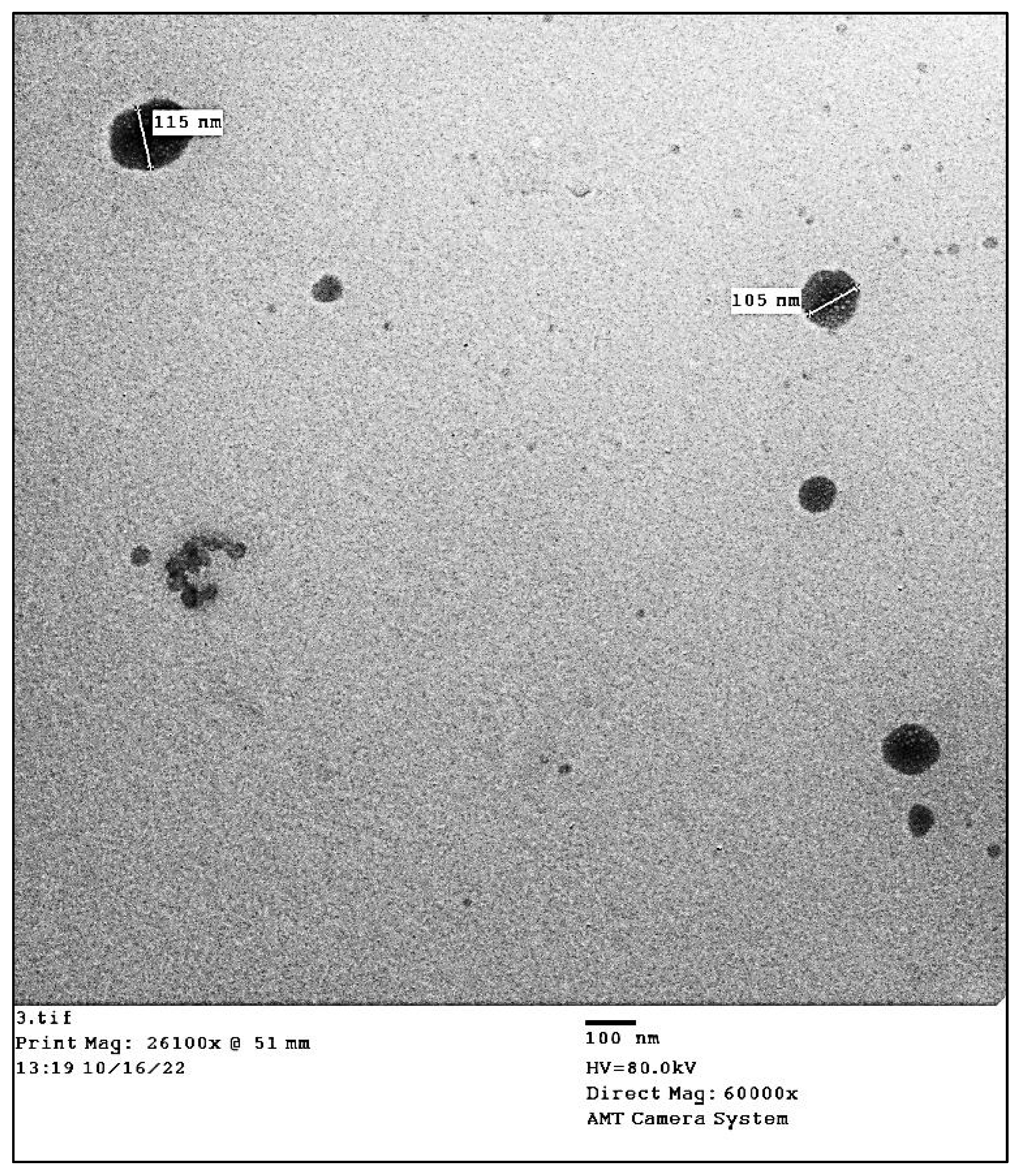 Antioxidants 11 02323 g003