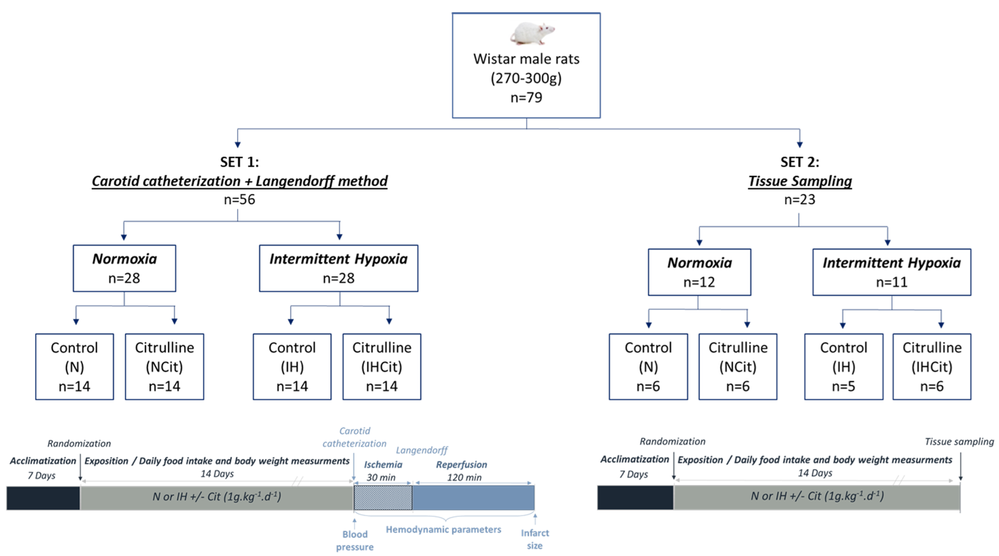 Antioxidants 11 02326 g001