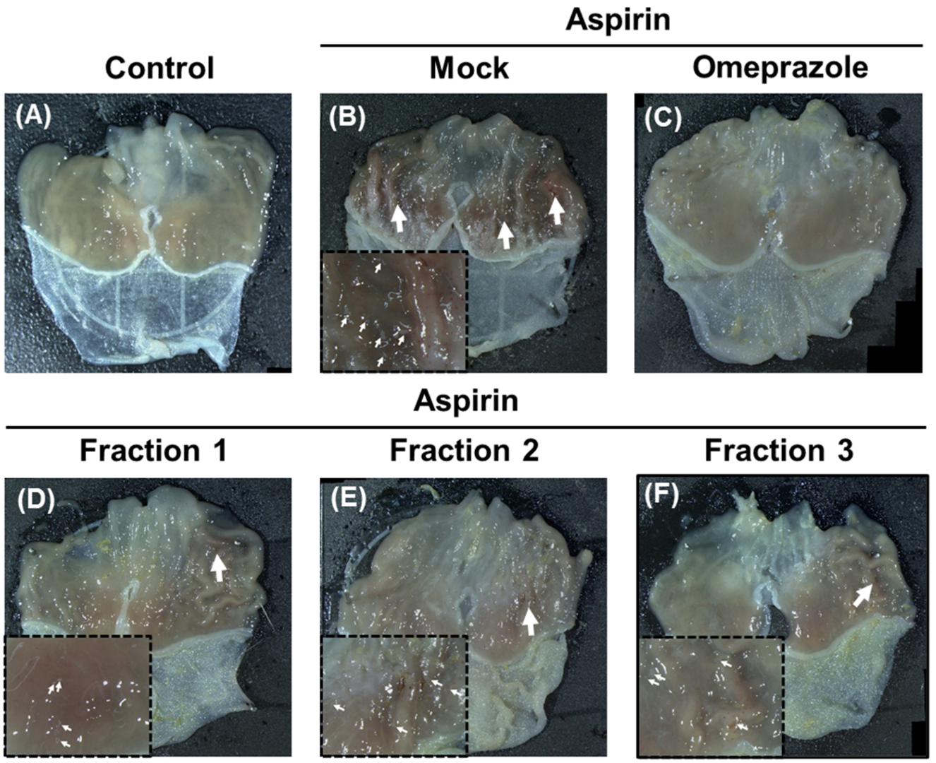Antioxidants 11 02327 g004