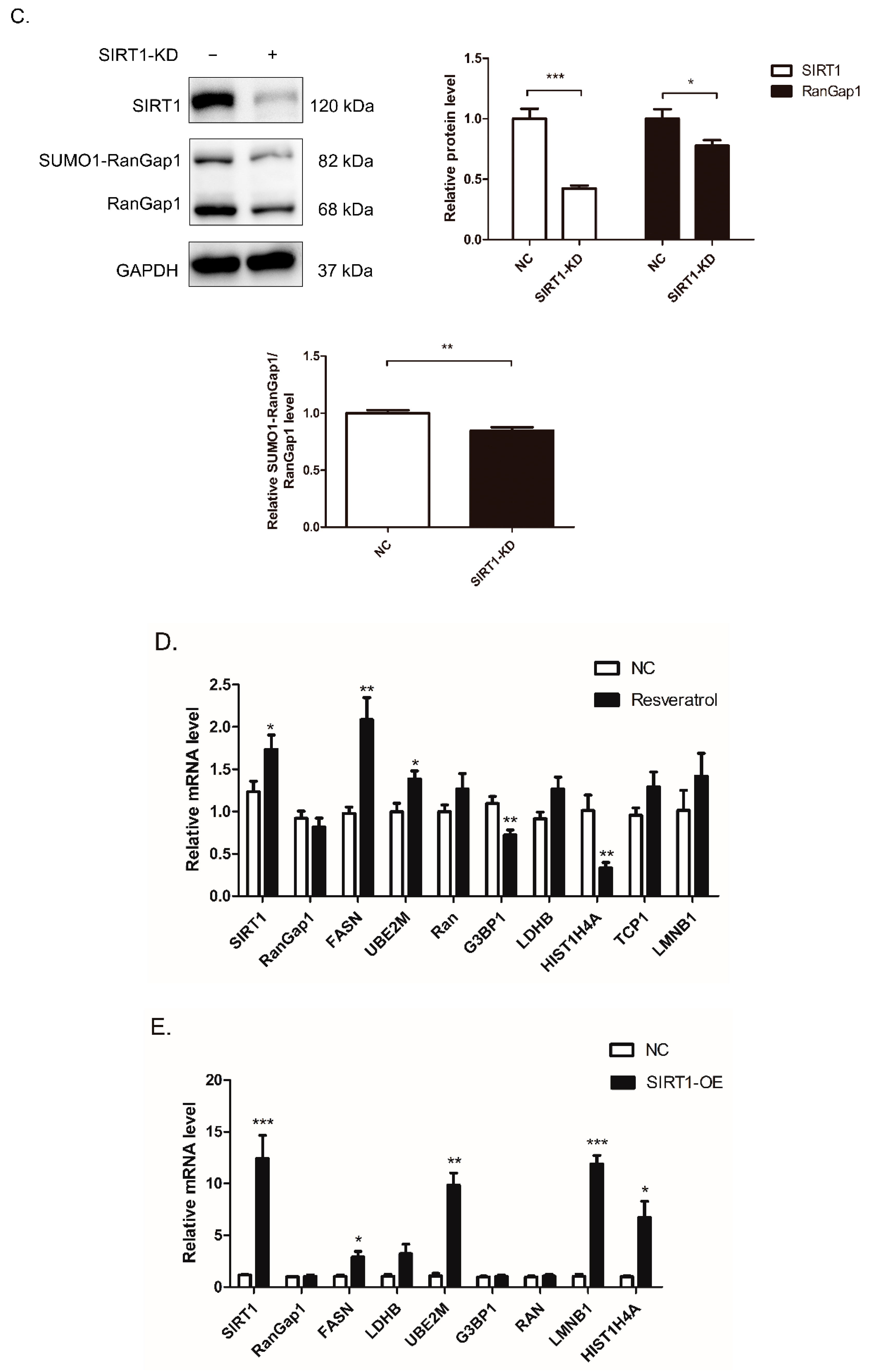 Antioxidants 11 02330 g004b