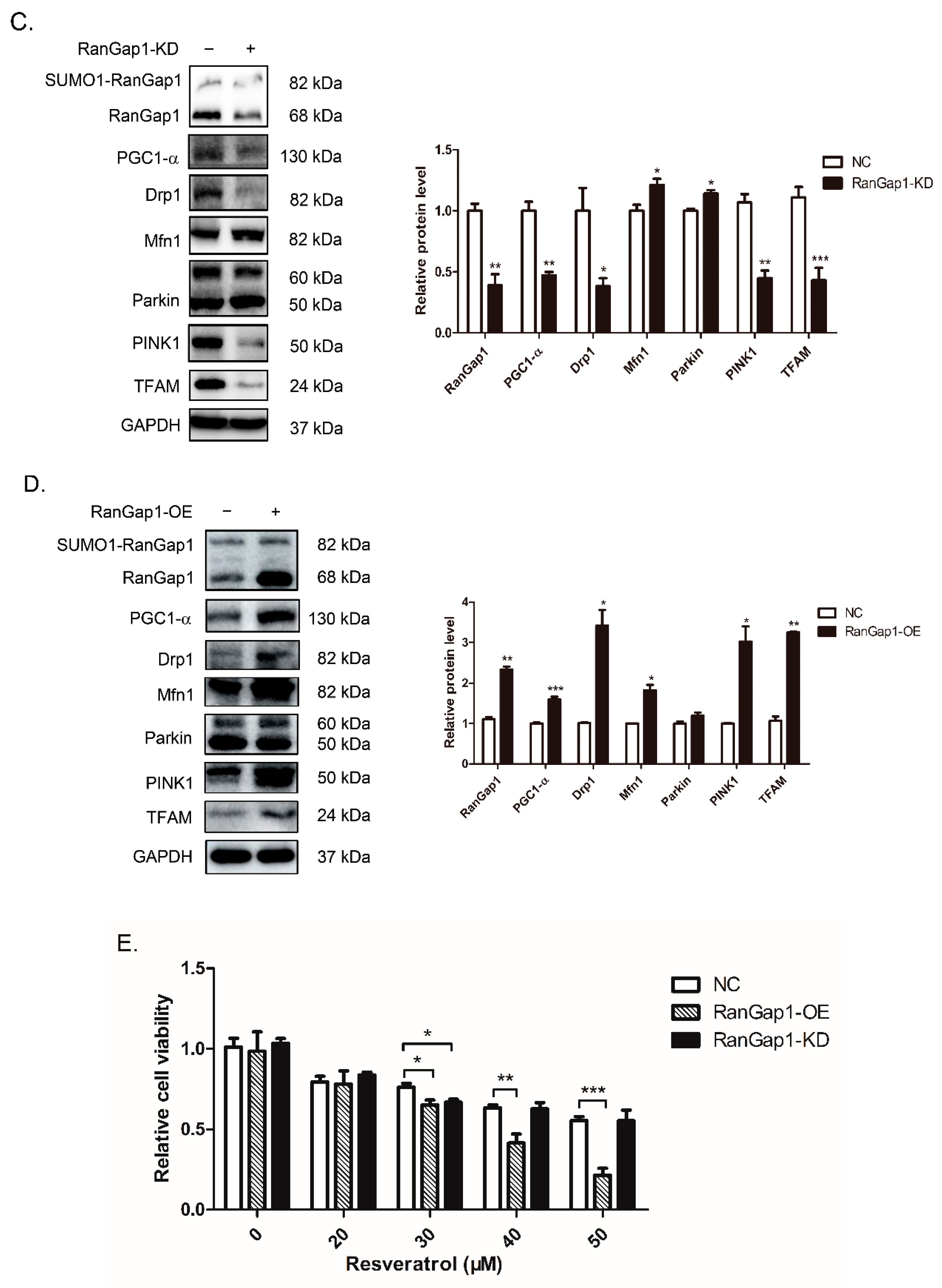 Antioxidants 11 02330 g005b