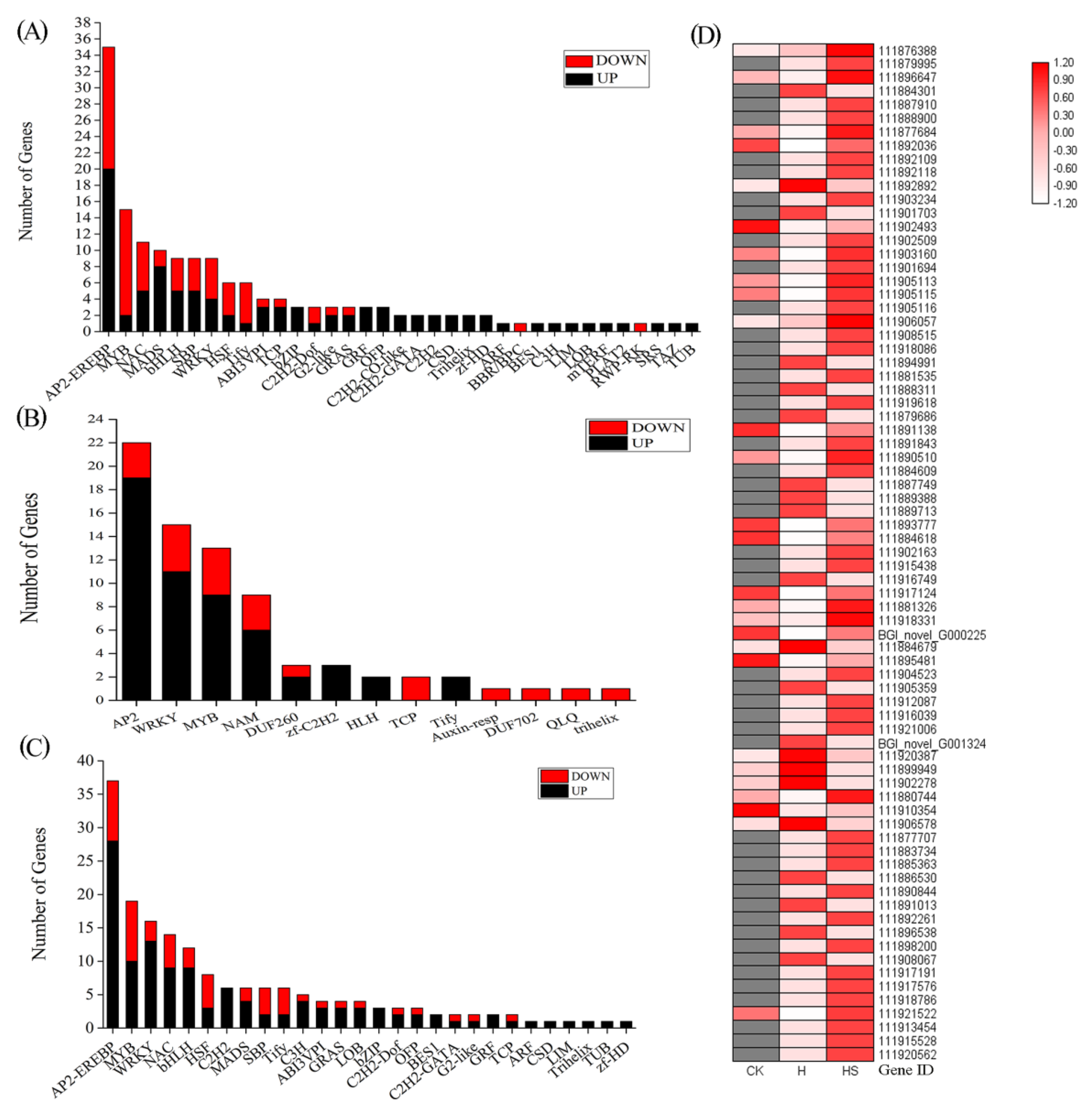 Antioxidants 11 02332 g007 Antioxidants 11 02332 g007