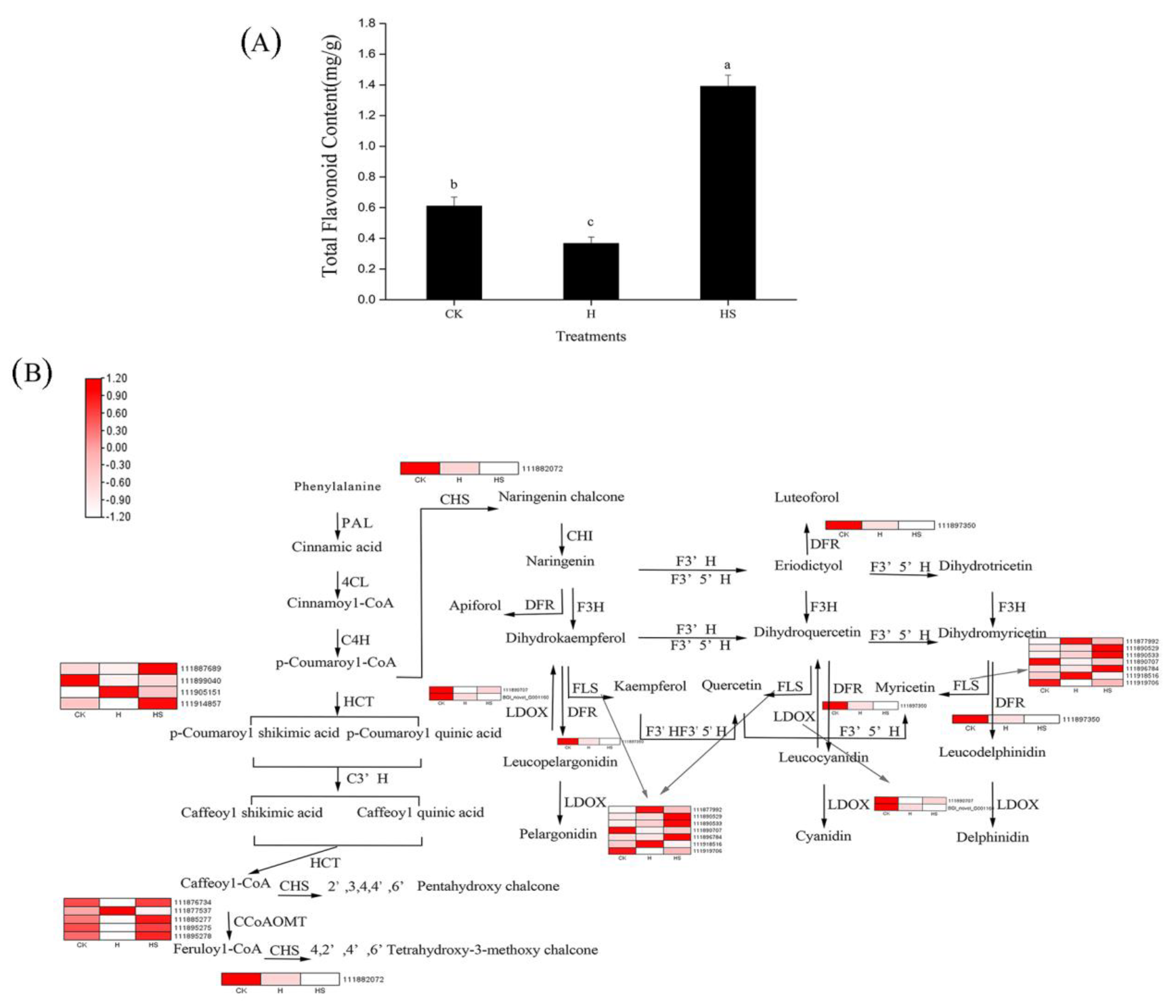 Antioxidants 11 02332 g008 Antioxidants 11 02332 g008