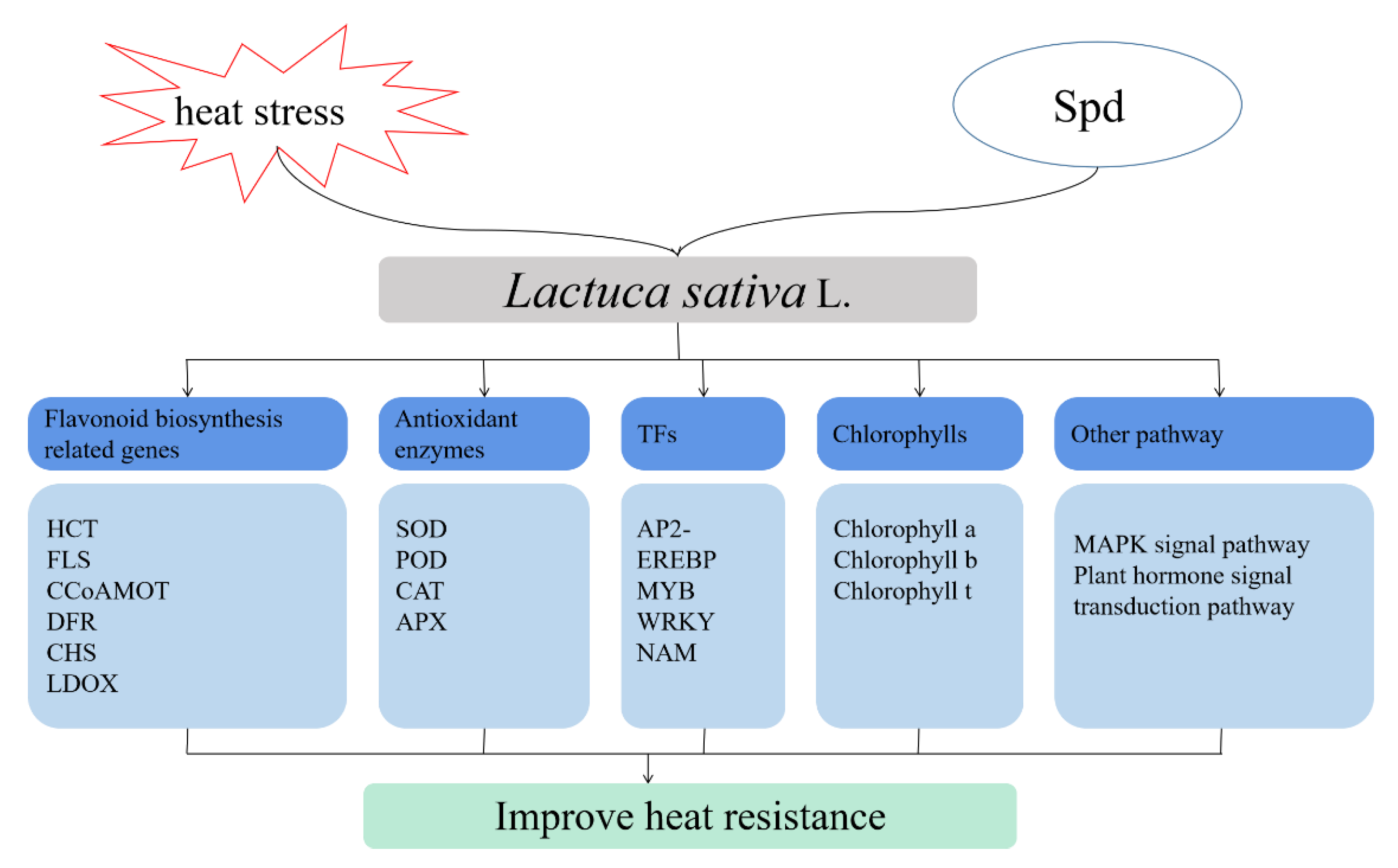 Antioxidants 11 02332 g009 Antioxidants 11 02332 g009