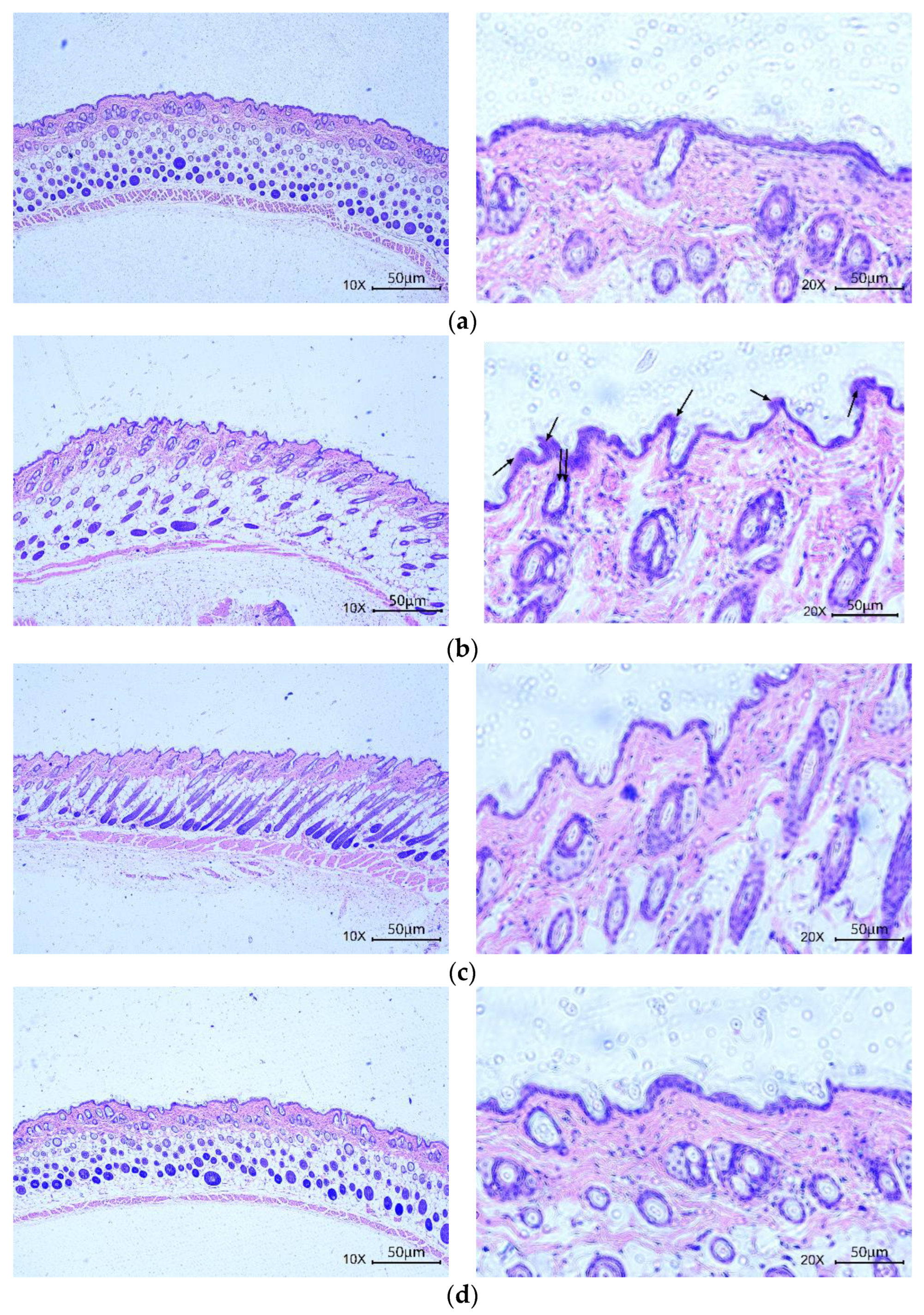 Antioxidants 11 02333 g009a