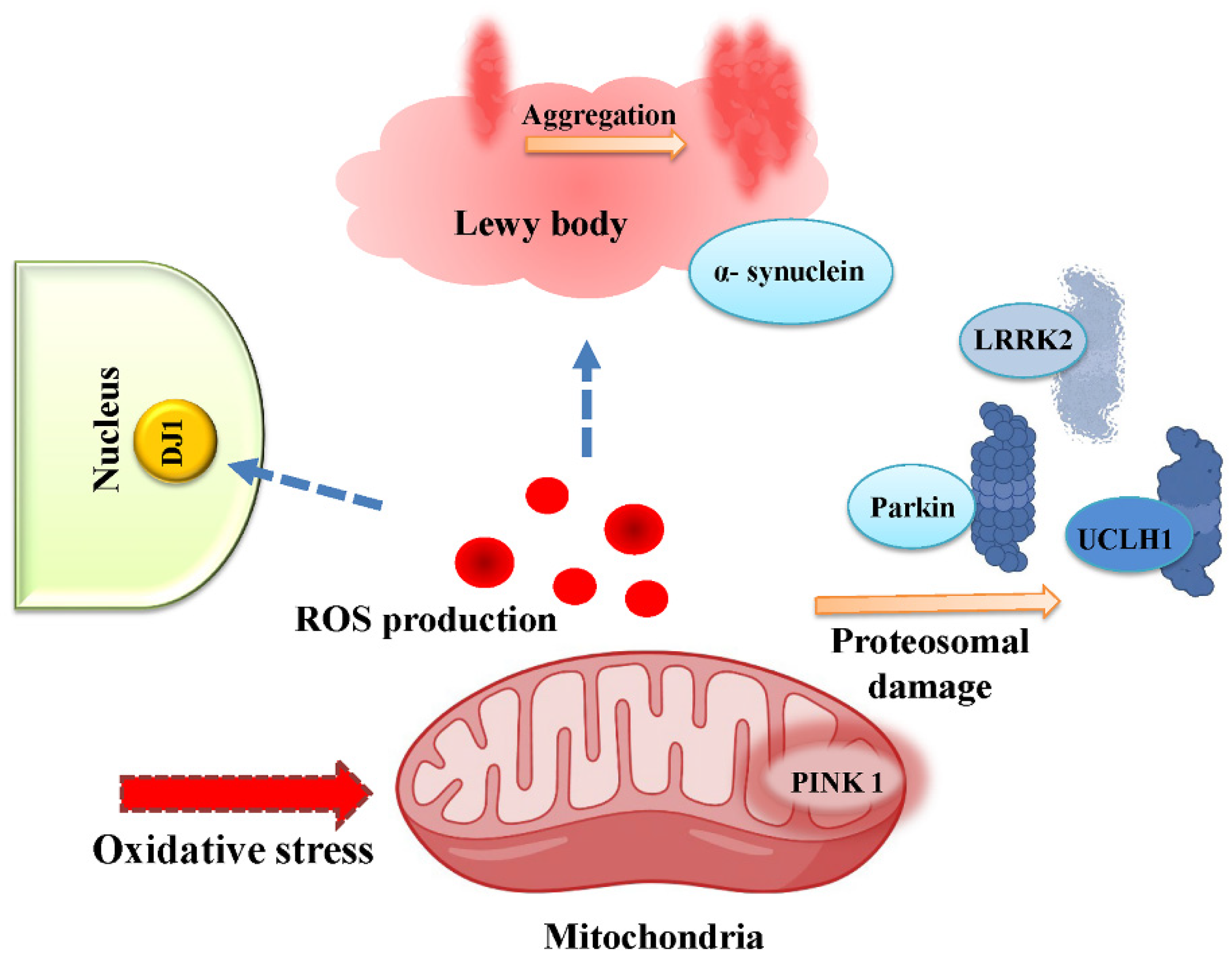 Antioxidants 11 02334 g005