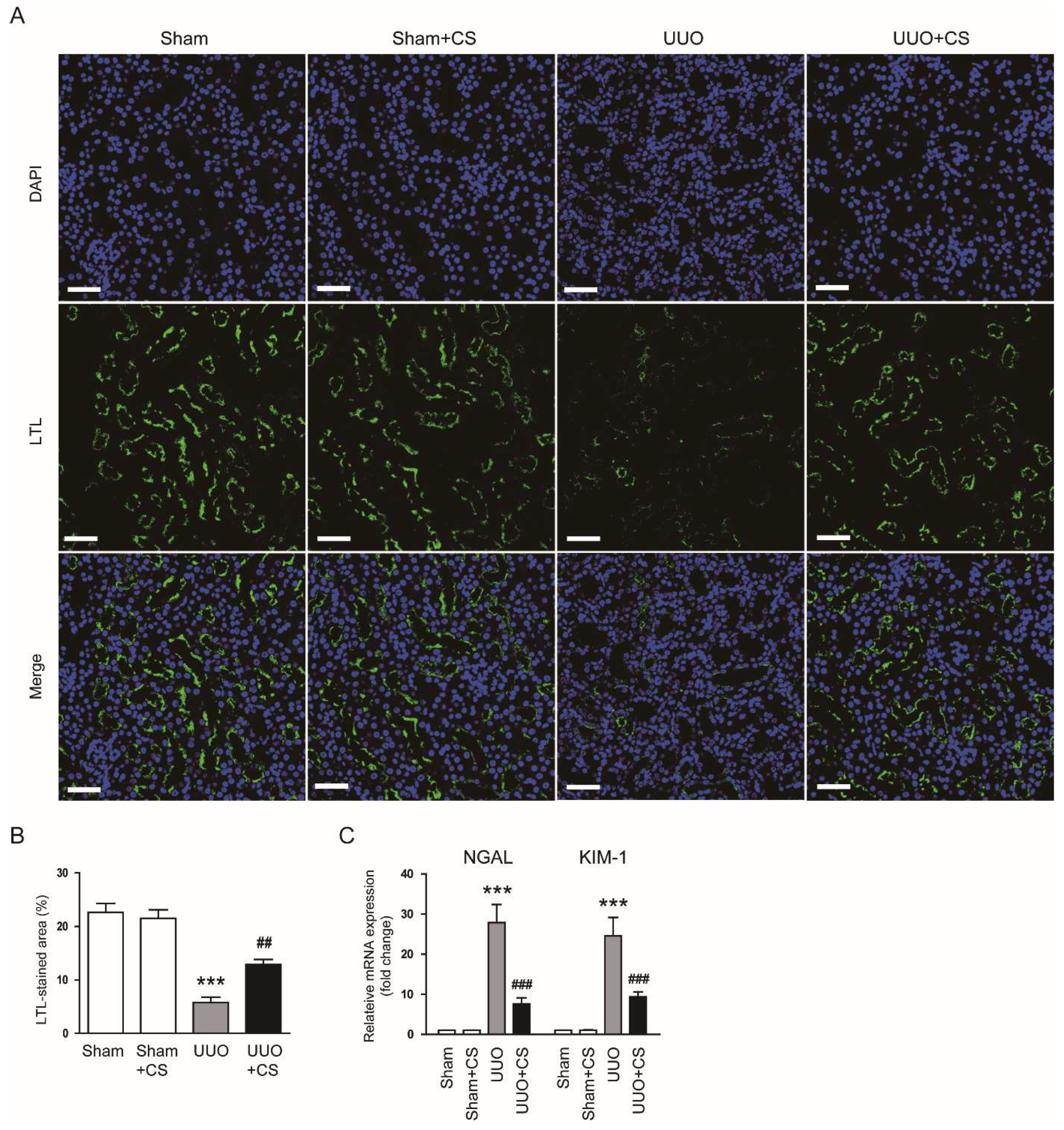Antioxidants 11 02341 g002