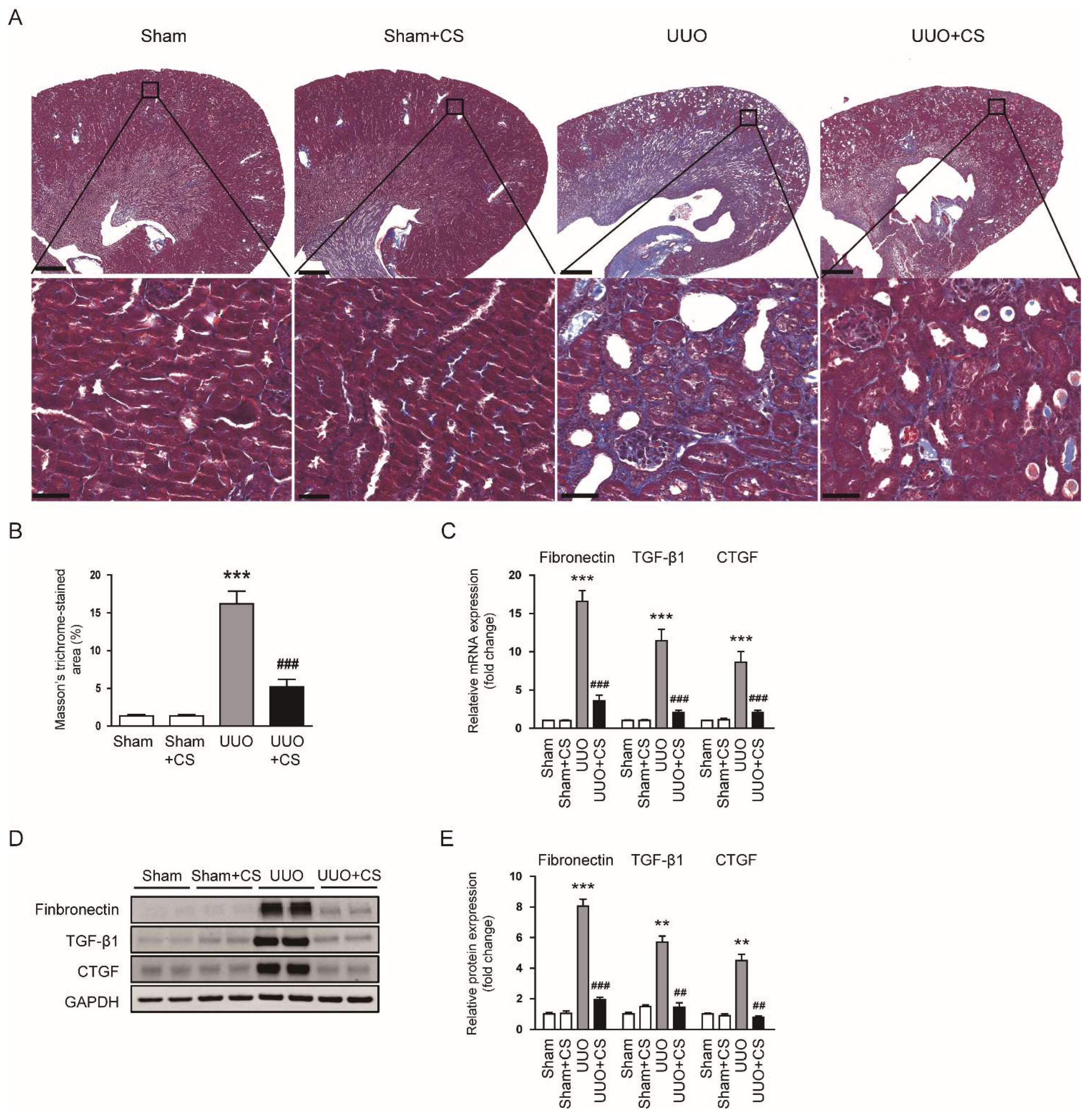 Antioxidants 11 02341 g003