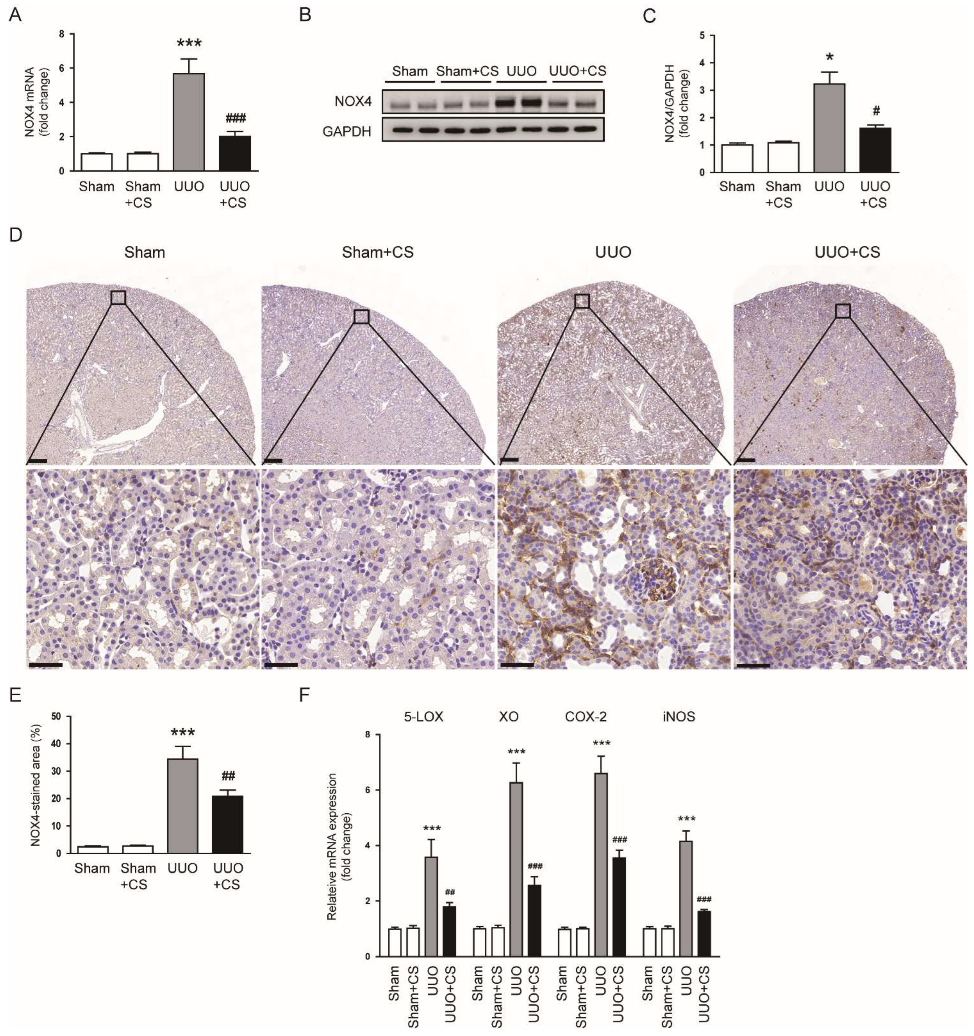 Antioxidants 11 02341 g006