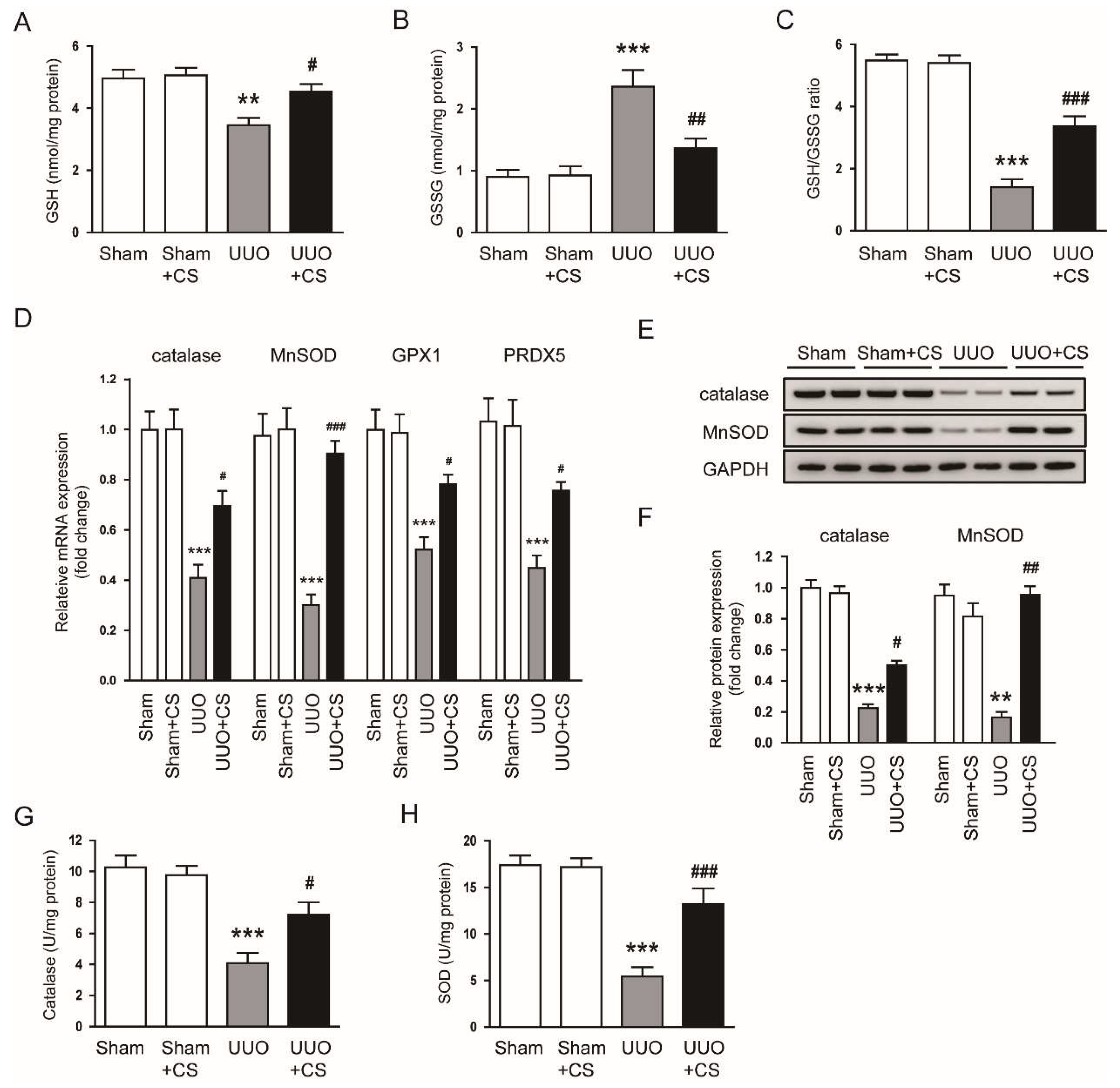 Antioxidants 11 02341 g007