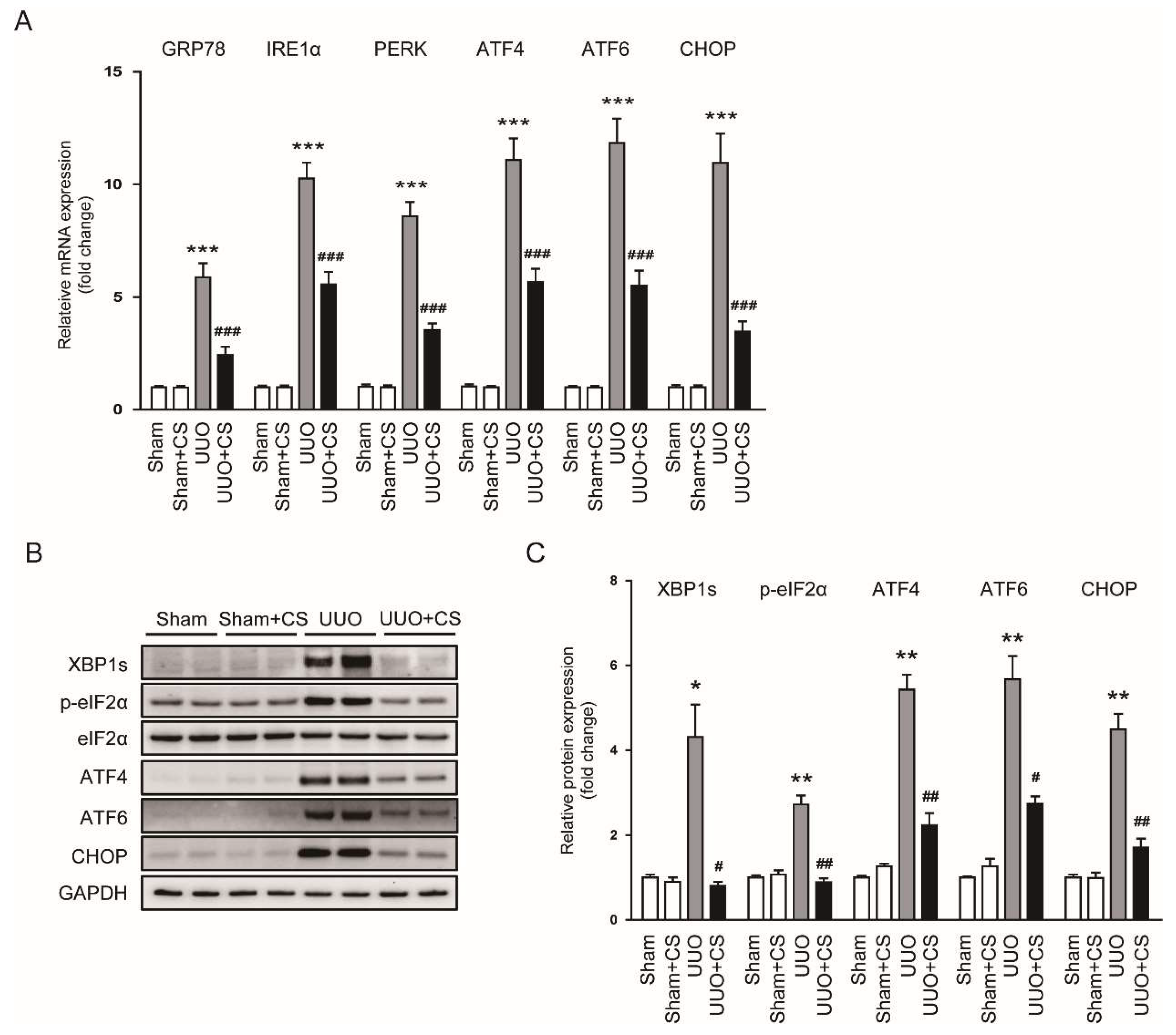 Antioxidants 11 02341 g008