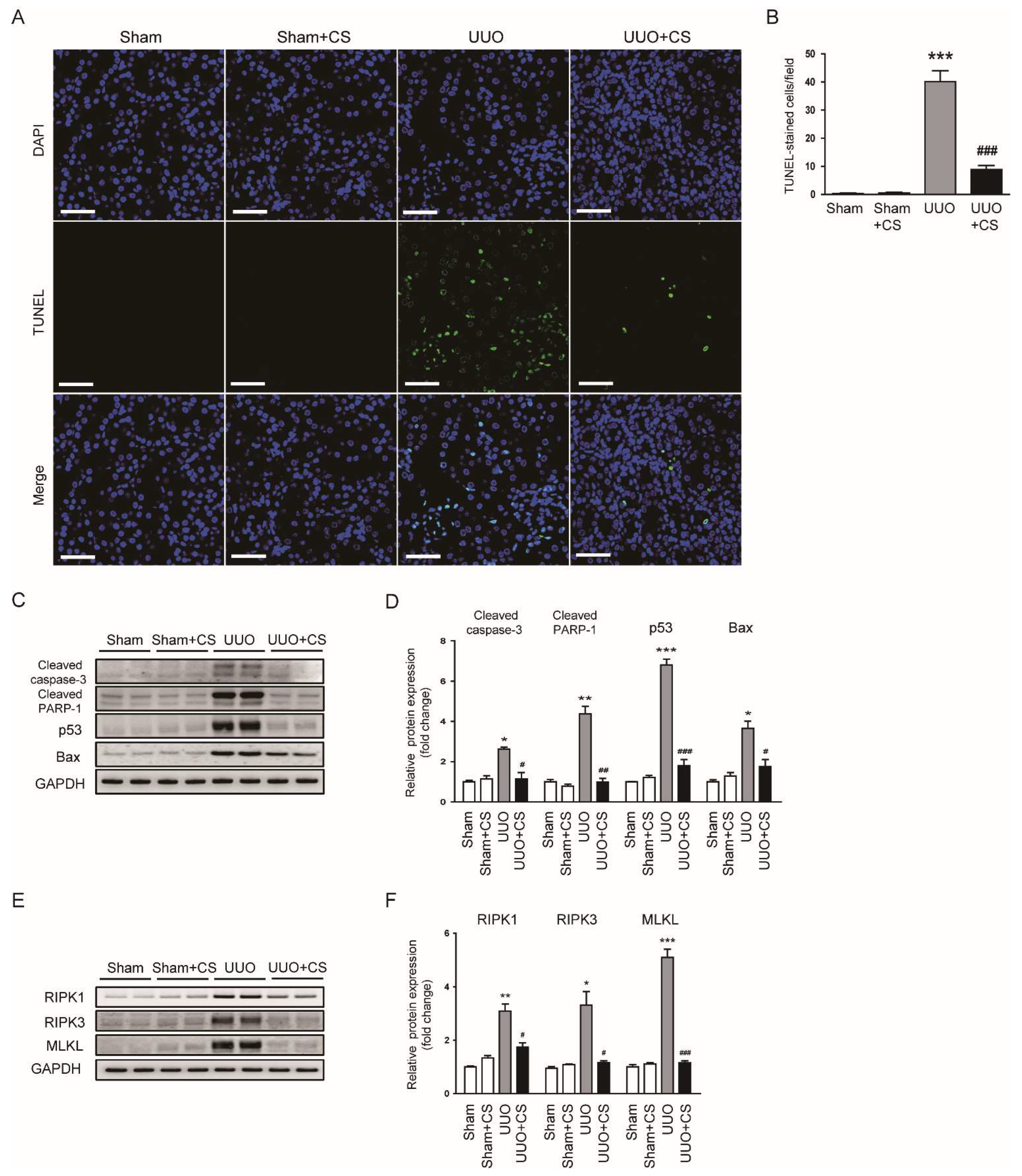 Antioxidants 11 02341 g009