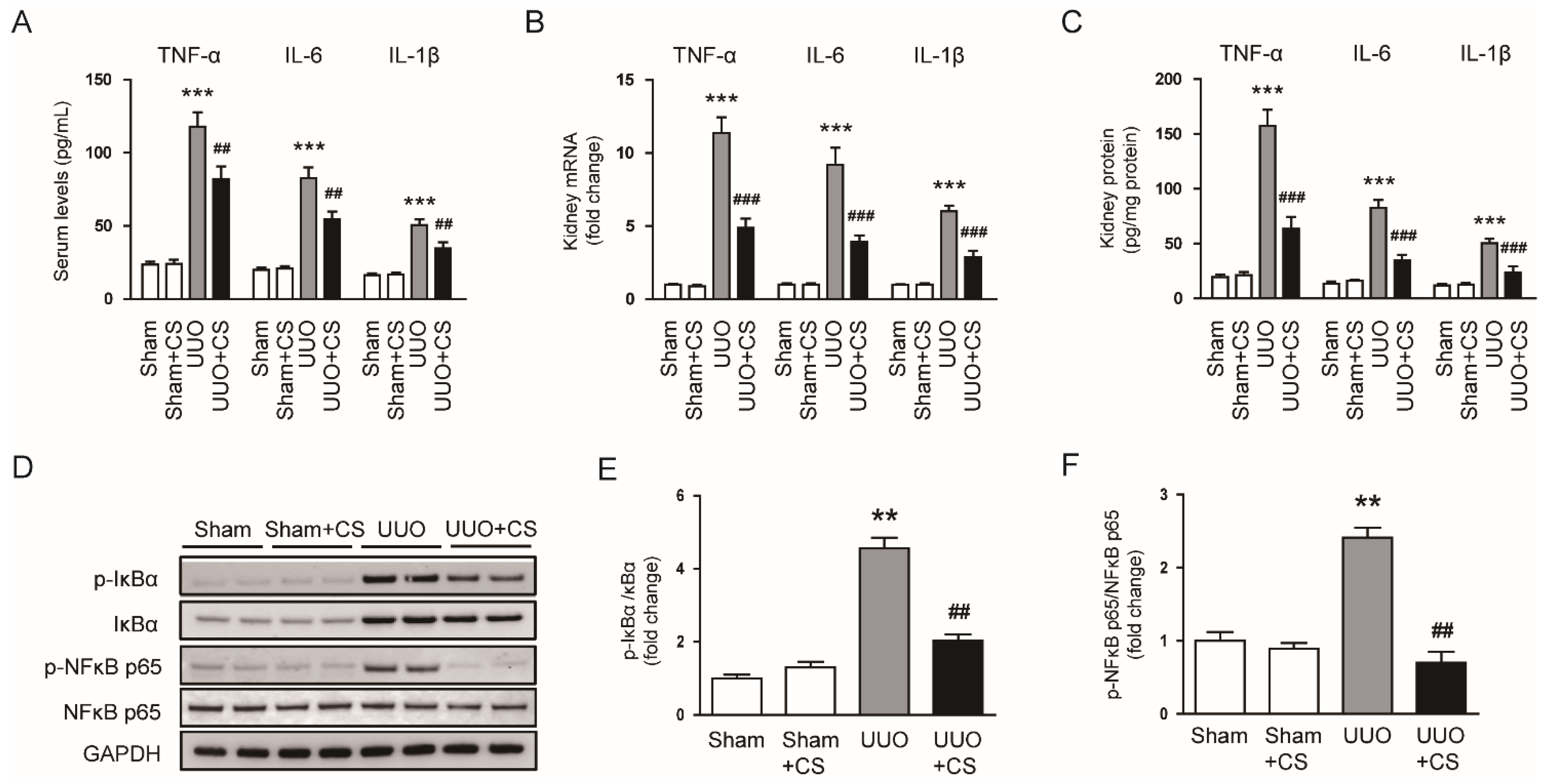 Antioxidants 11 02341 g010