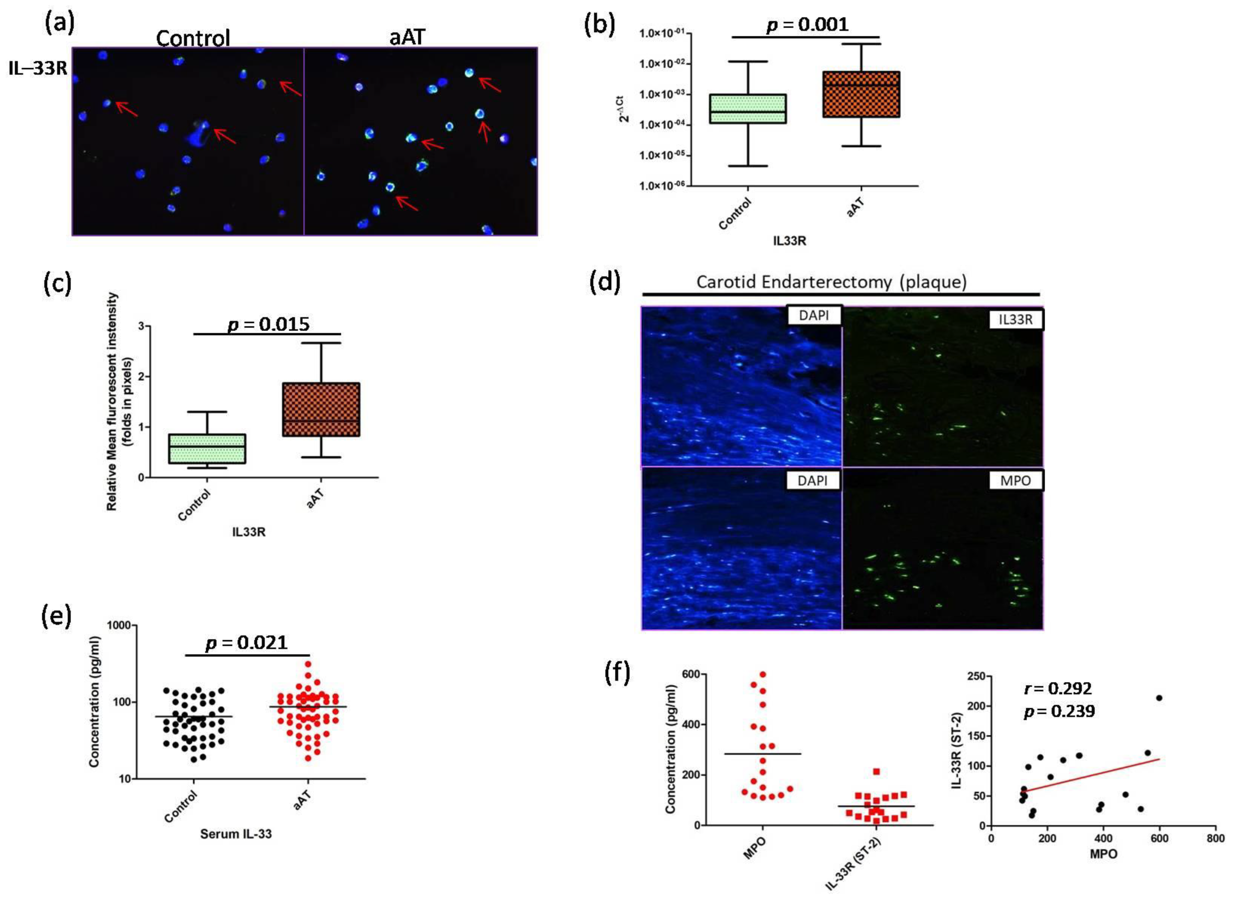 Antioxidants 11 02343 g001