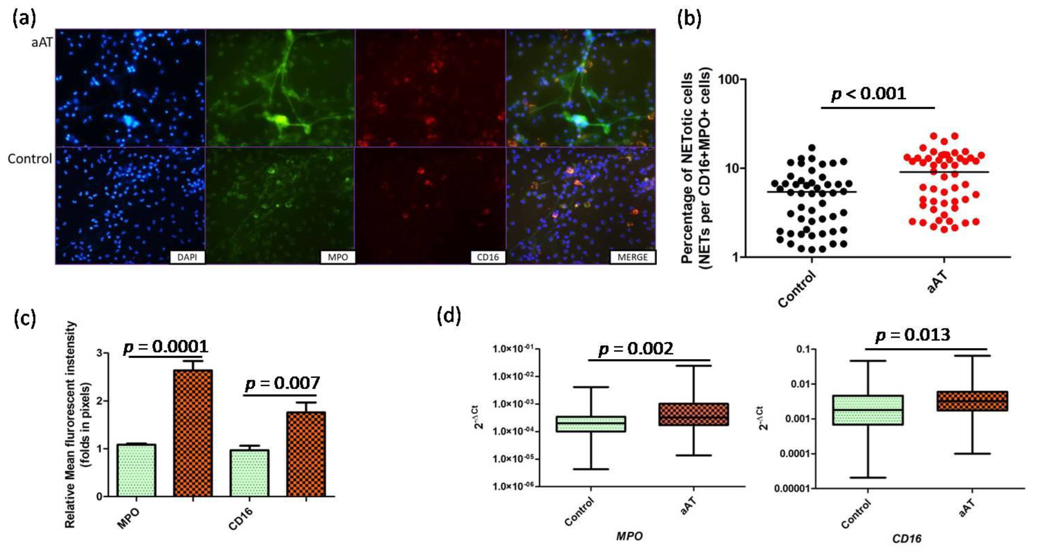 Antioxidants 11 02343 g002