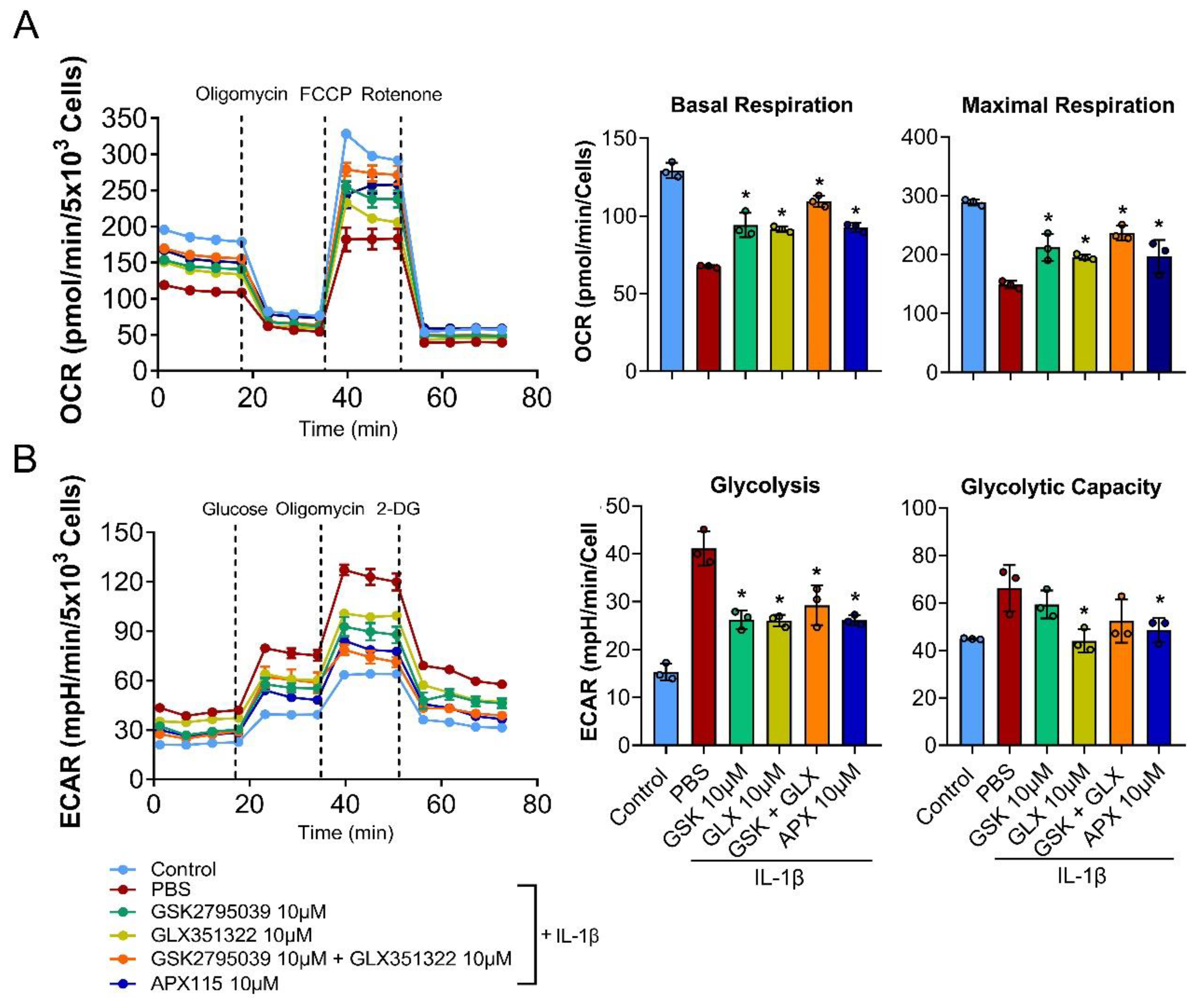 Antioxidants 11 02346 g005 Antioxidants 11 02346 g005