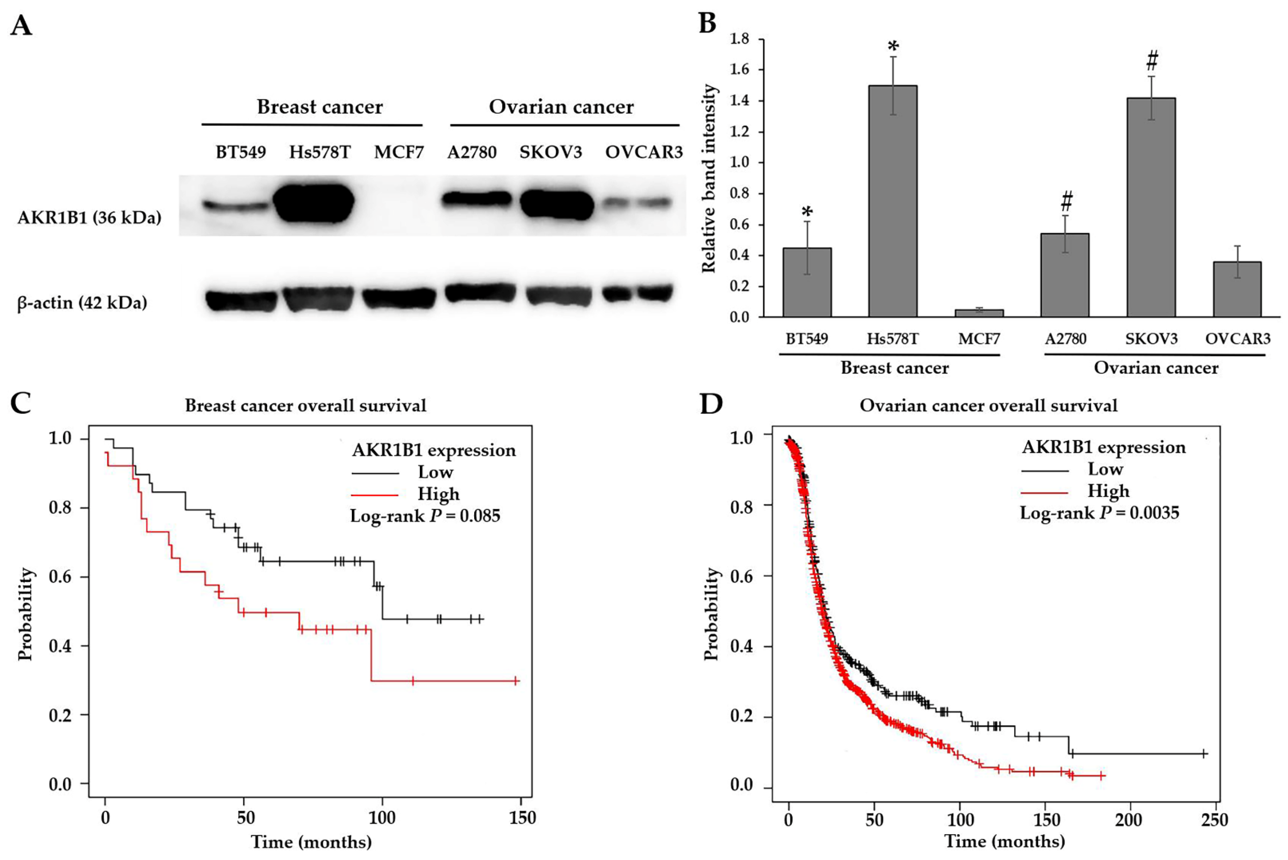 Antioxidants 11 02347 g001