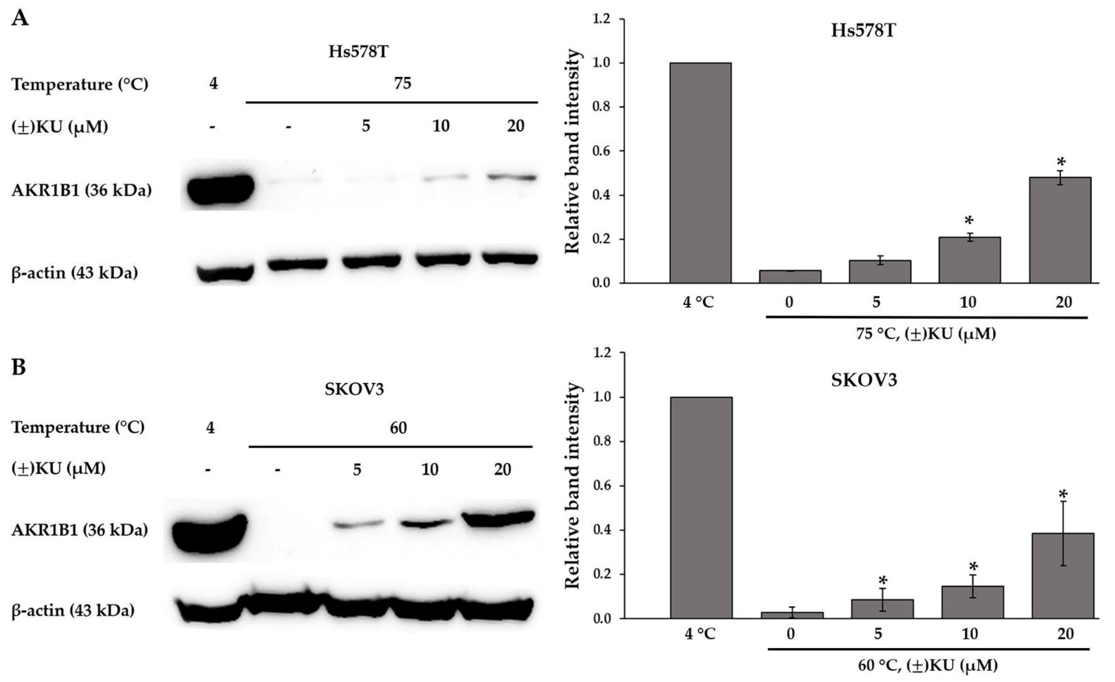 Antioxidants 11 02347 g004