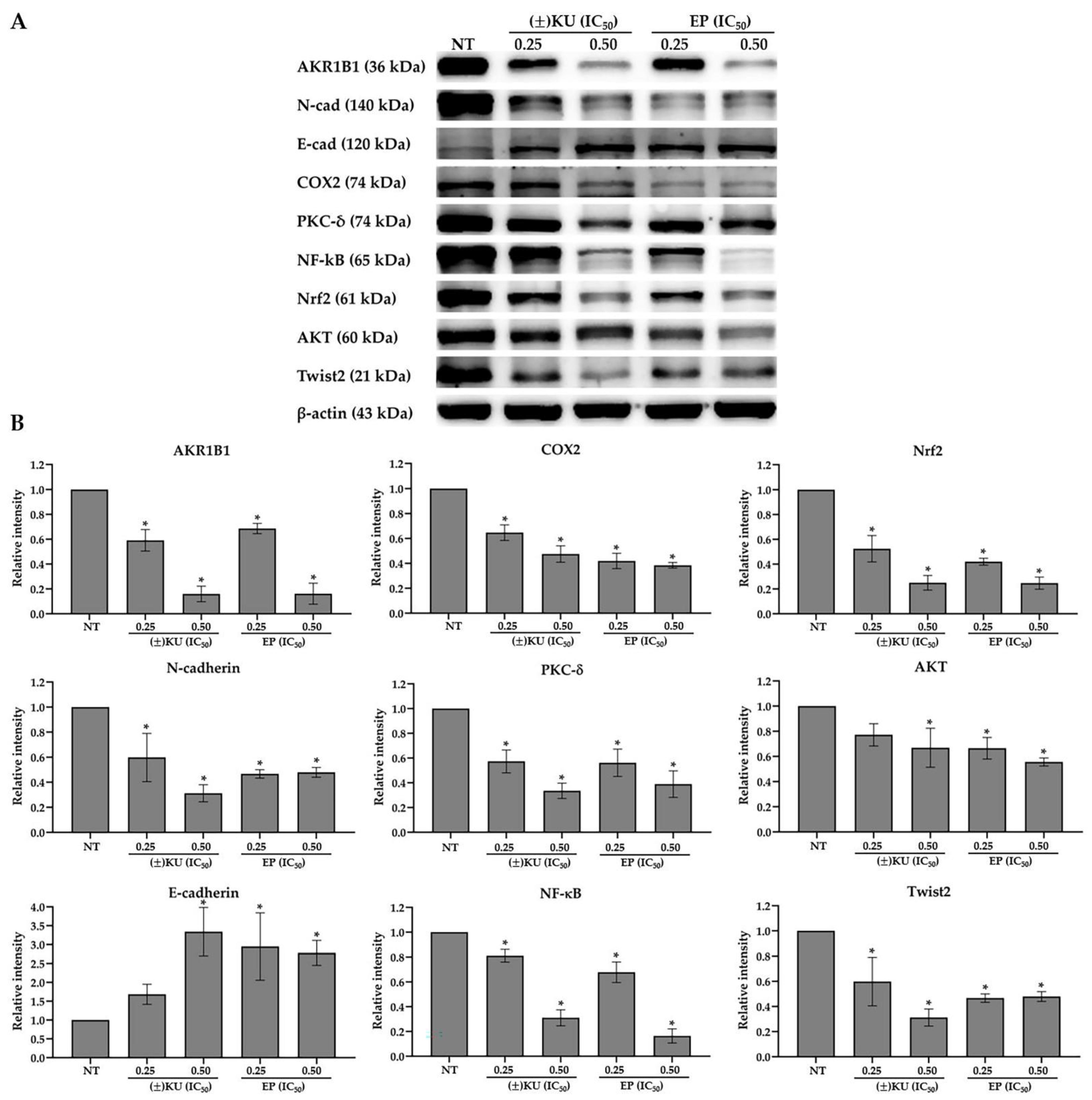 Antioxidants 11 02347 g006