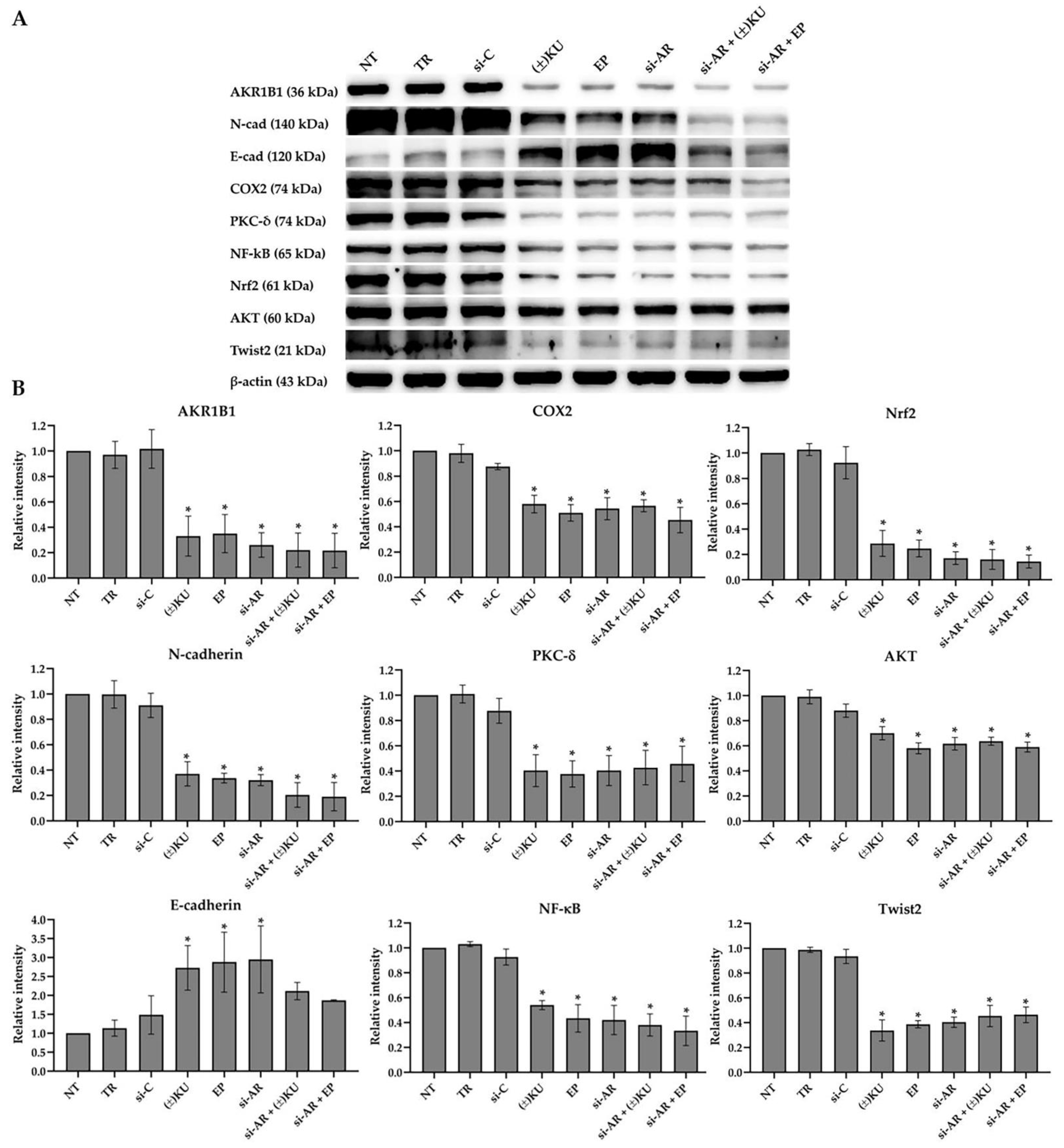 Antioxidants 11 02347 g007