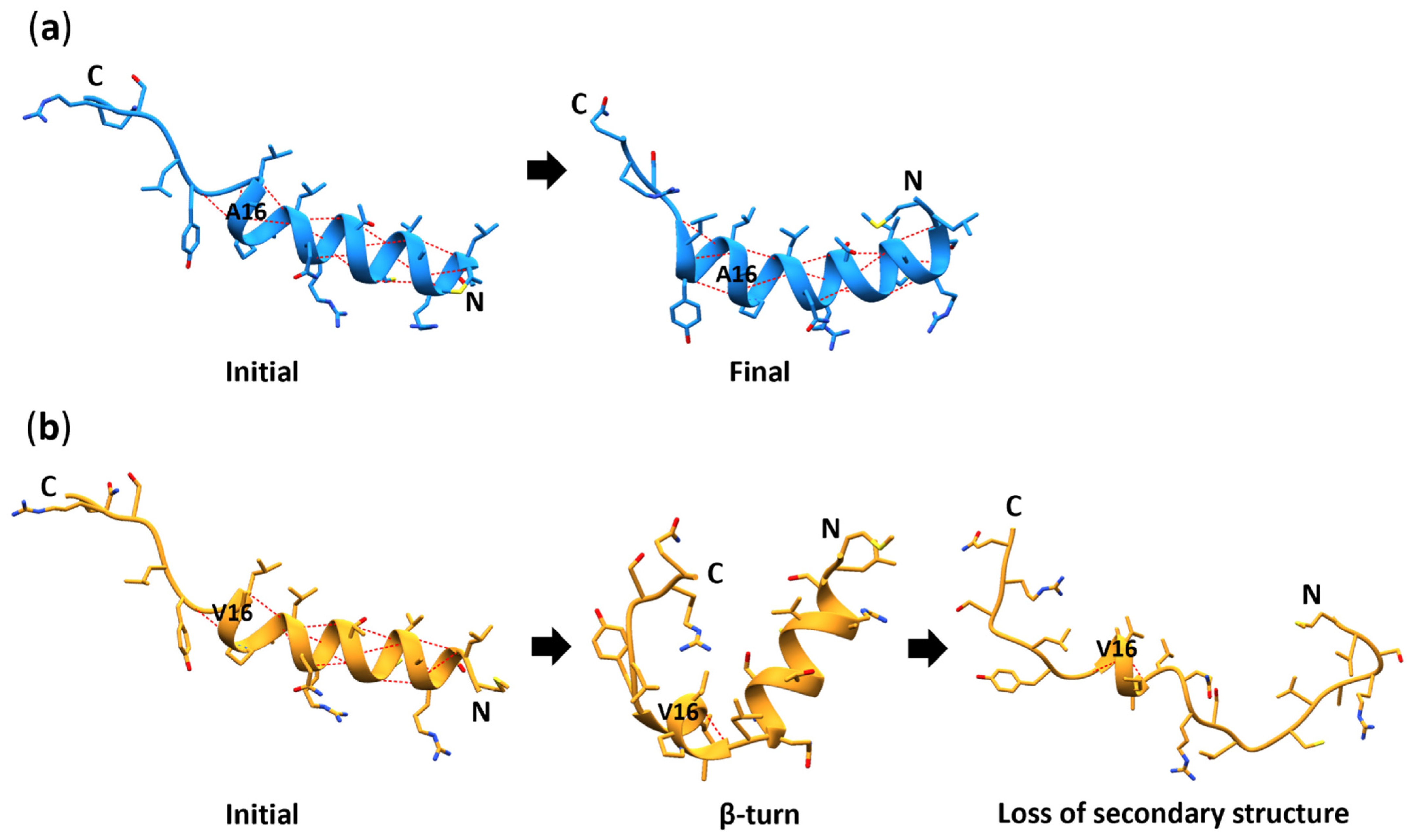 Antioxidants 11 02348 g008