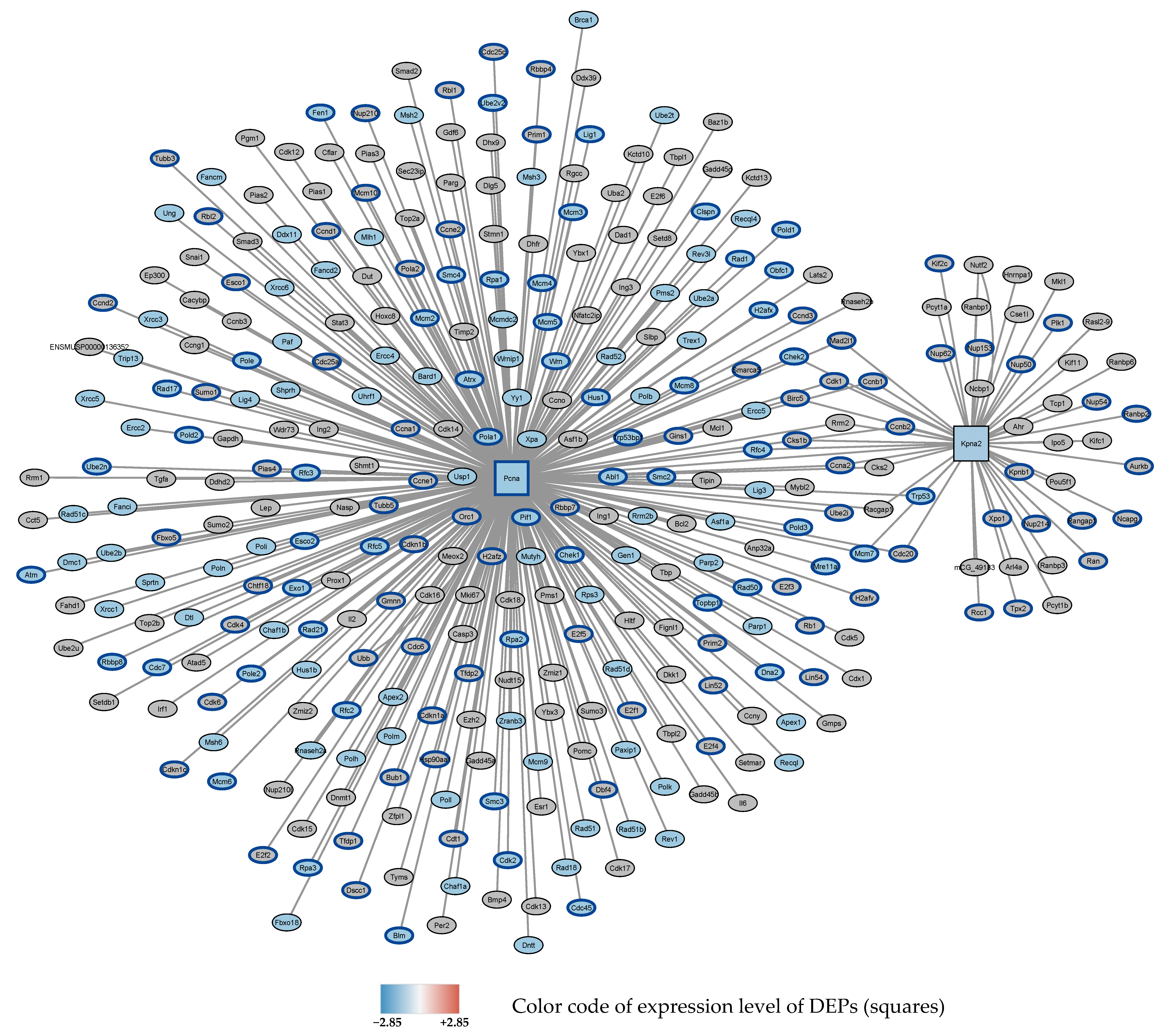 Antioxidants 11 02349 g004