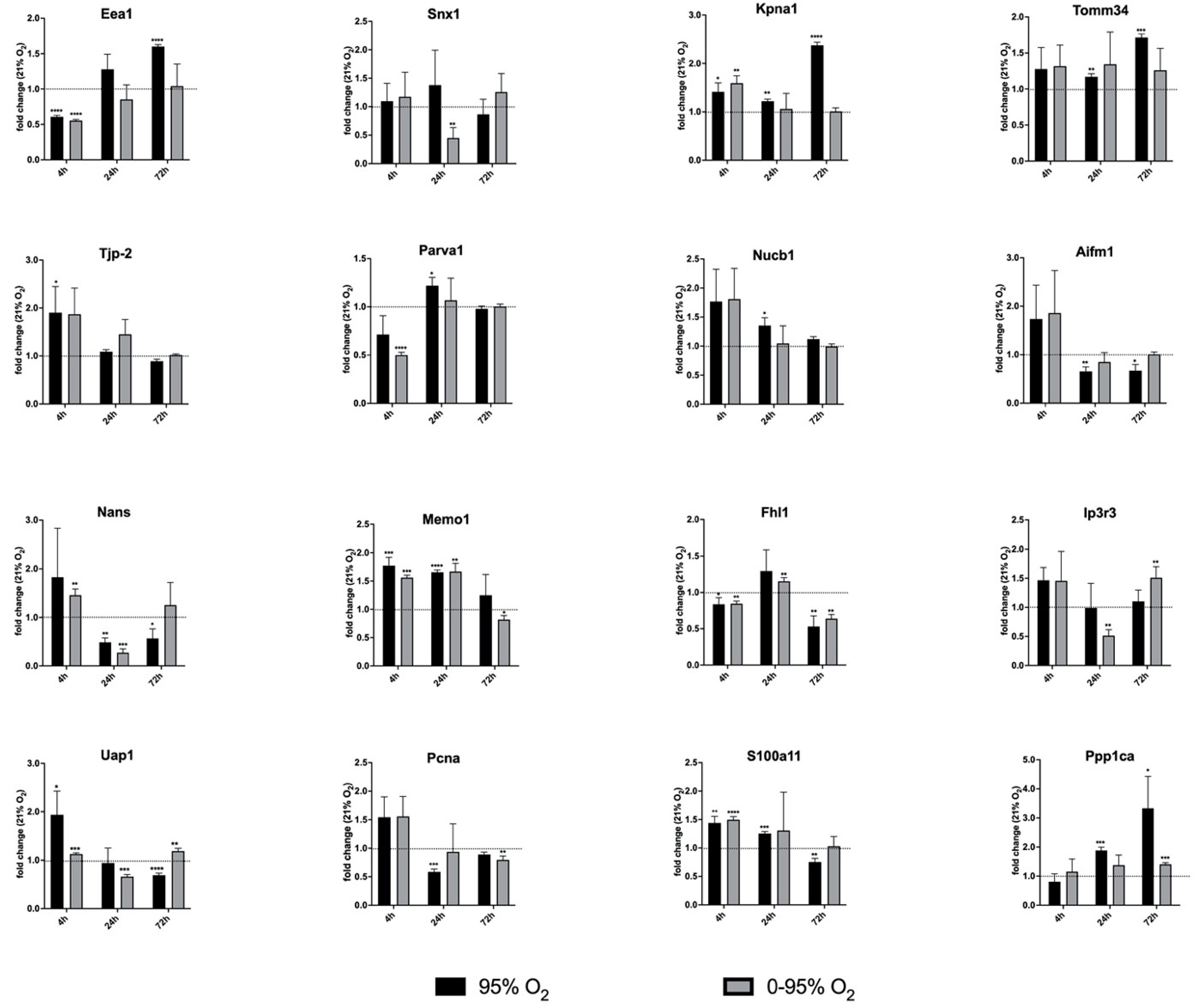 Antioxidants 11 02349 g005