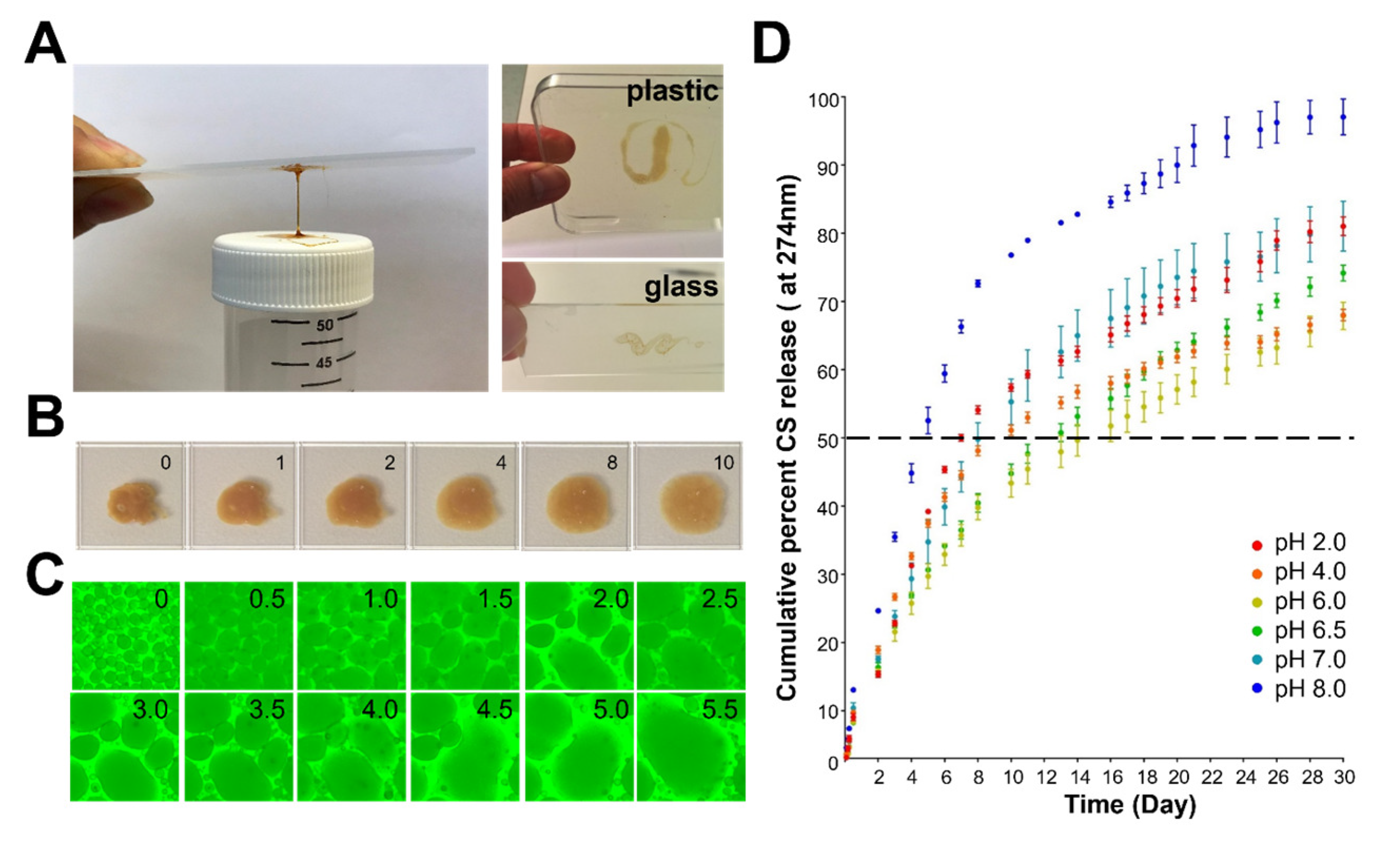 Antioxidants 11 02351 g002
