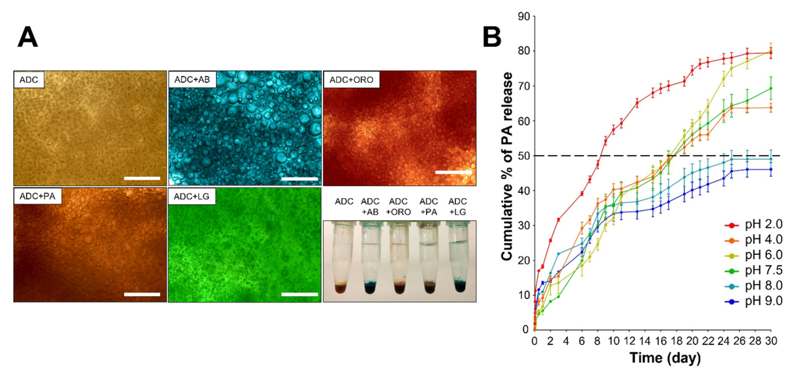 Antioxidants 11 02351 g003