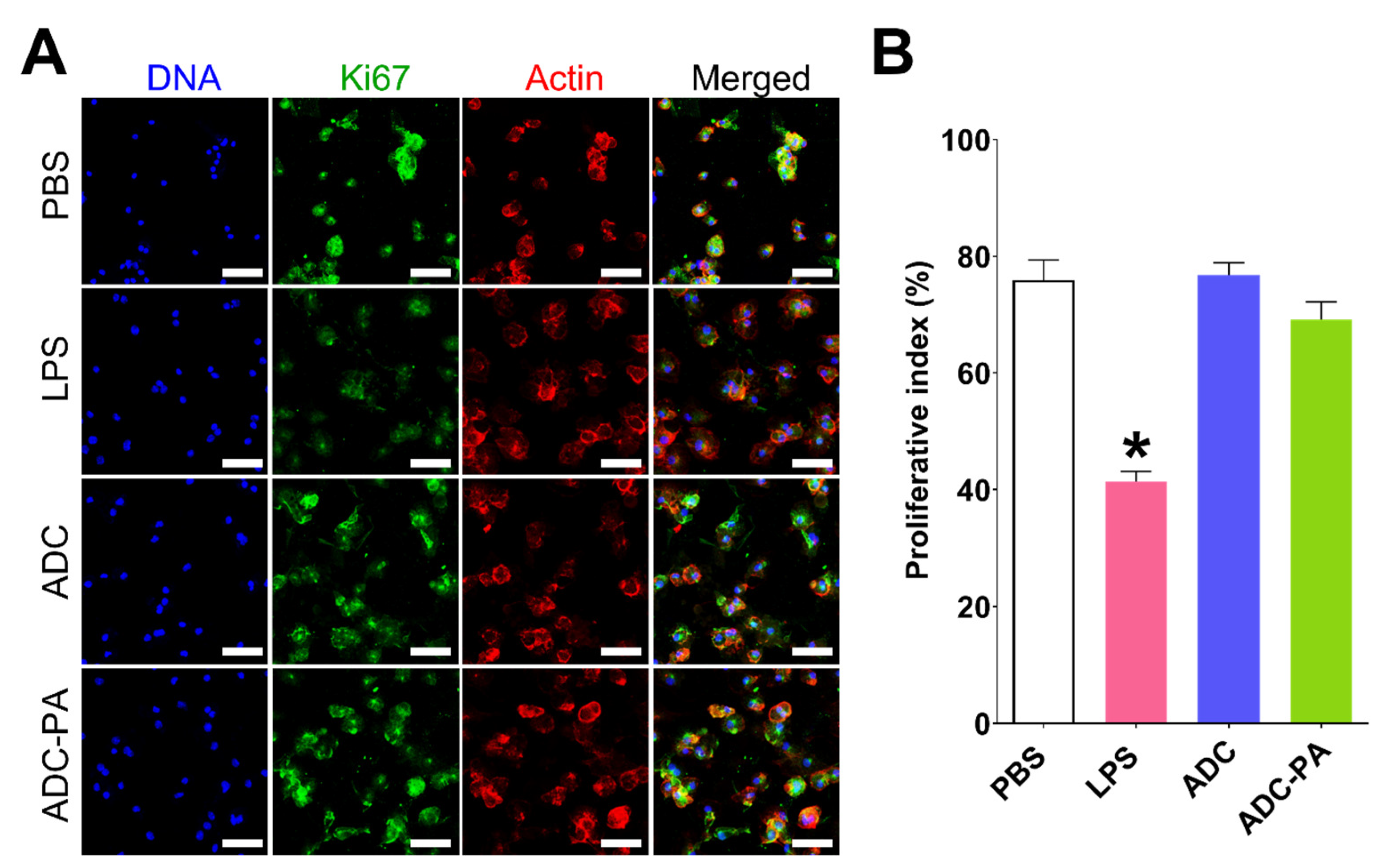 Antioxidants 11 02351 g004