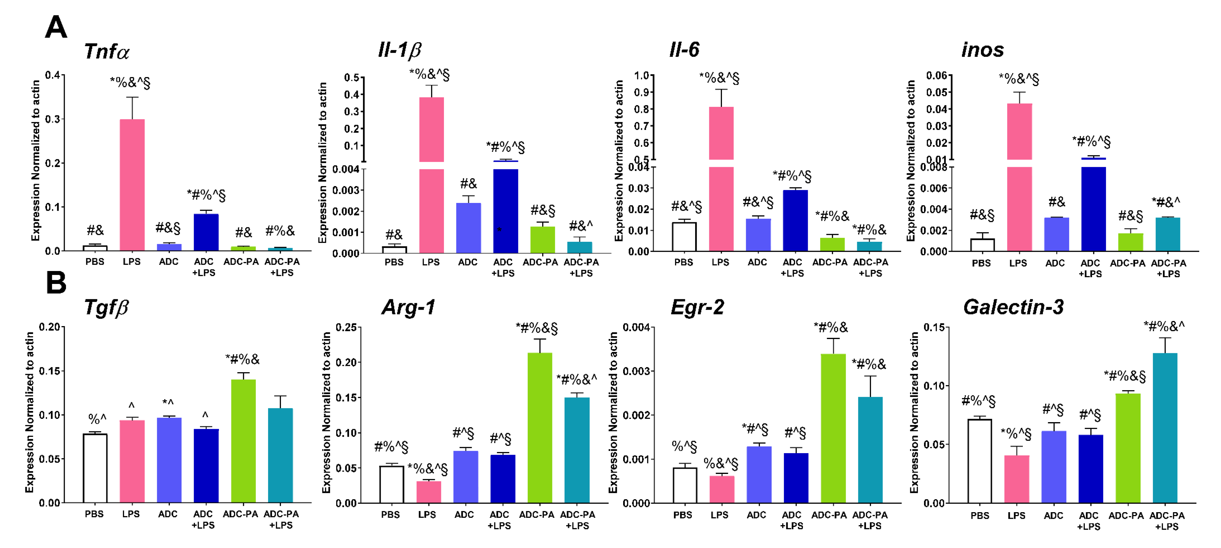 Antioxidants 11 02351 g005