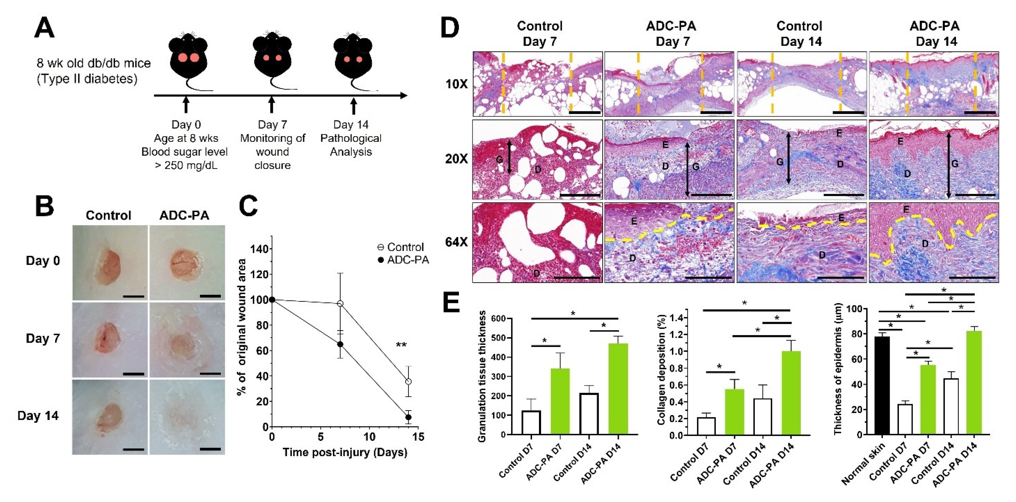 Antioxidants 11 02351 g009