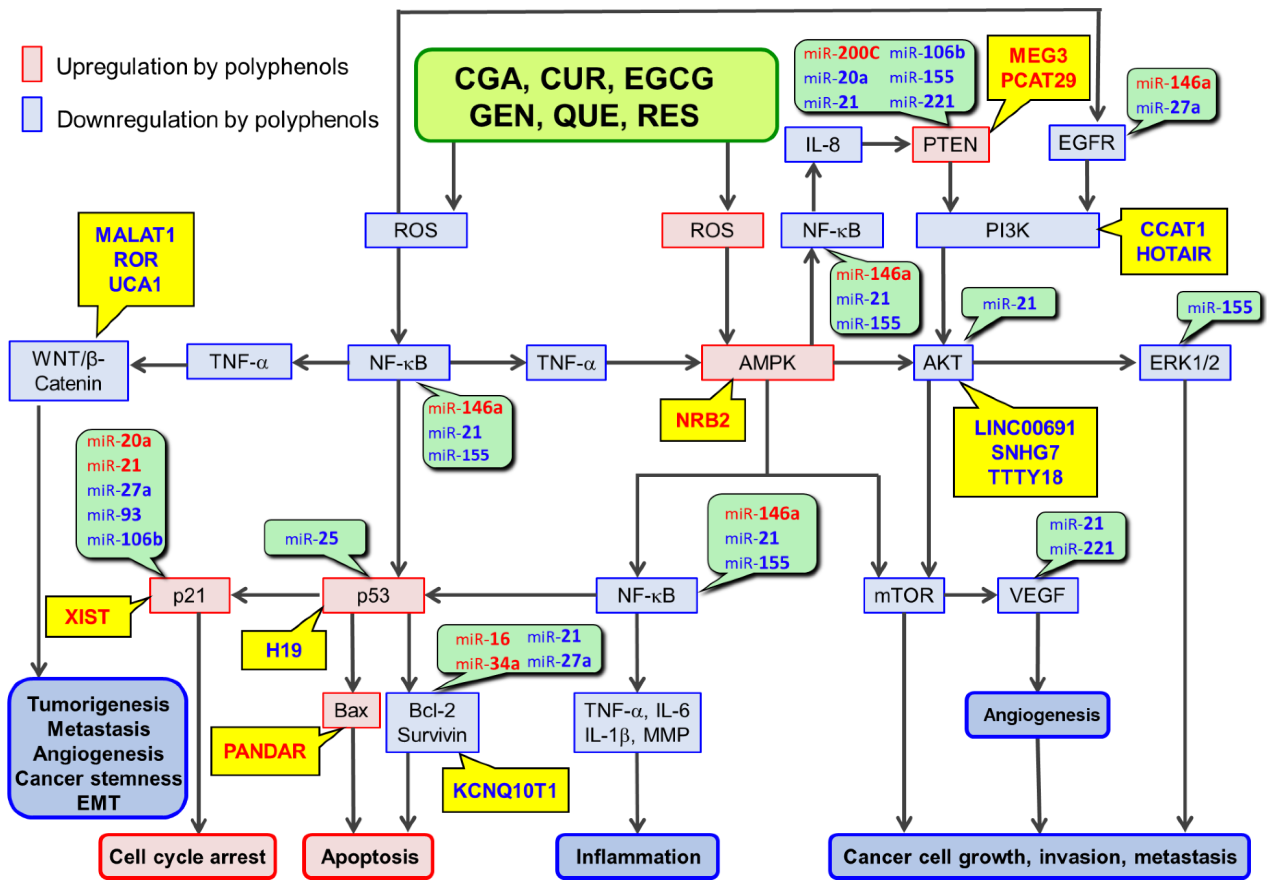 Antioxidants 11 02352 g001