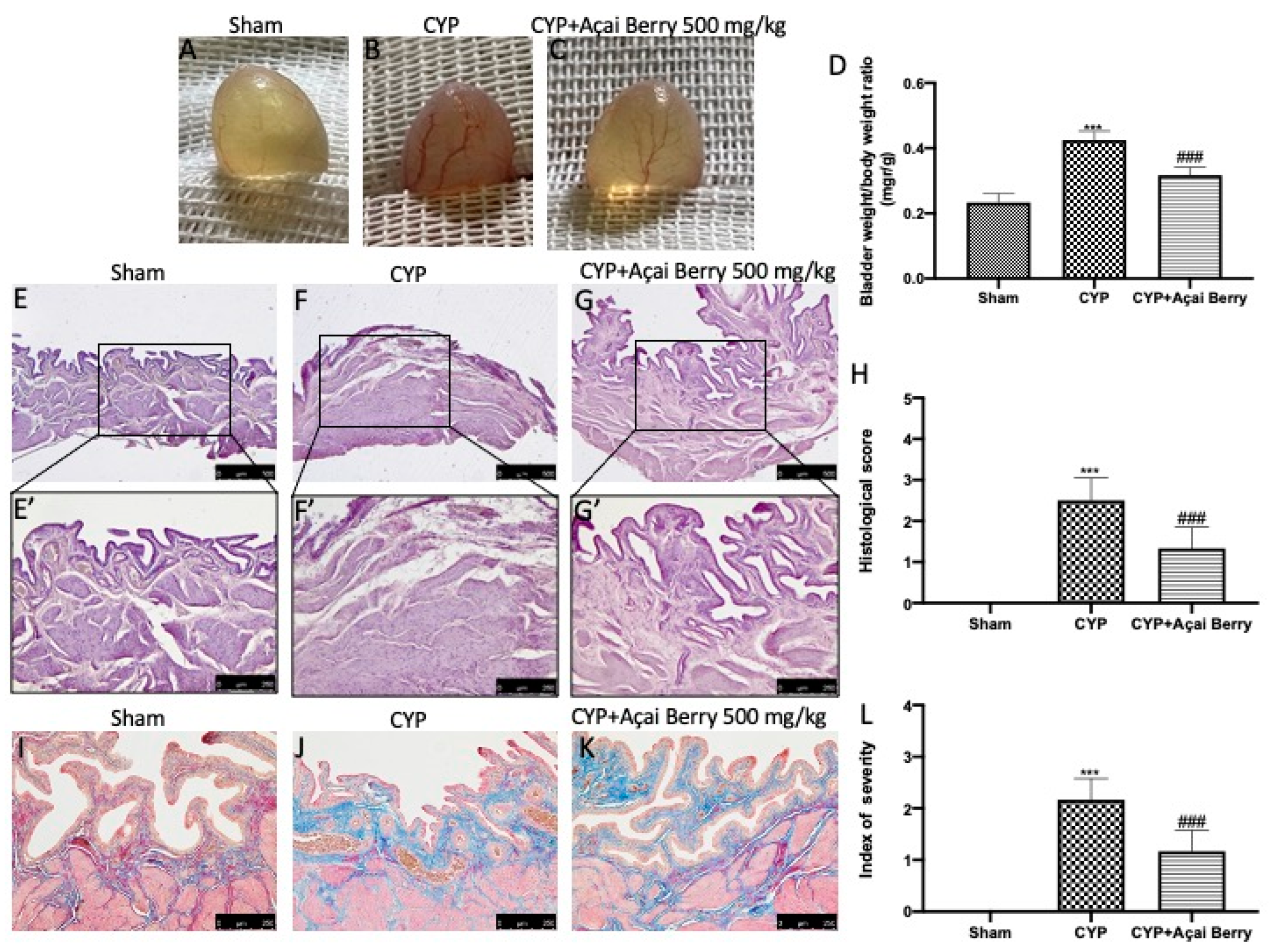 Antioxidants 11 02355 g001