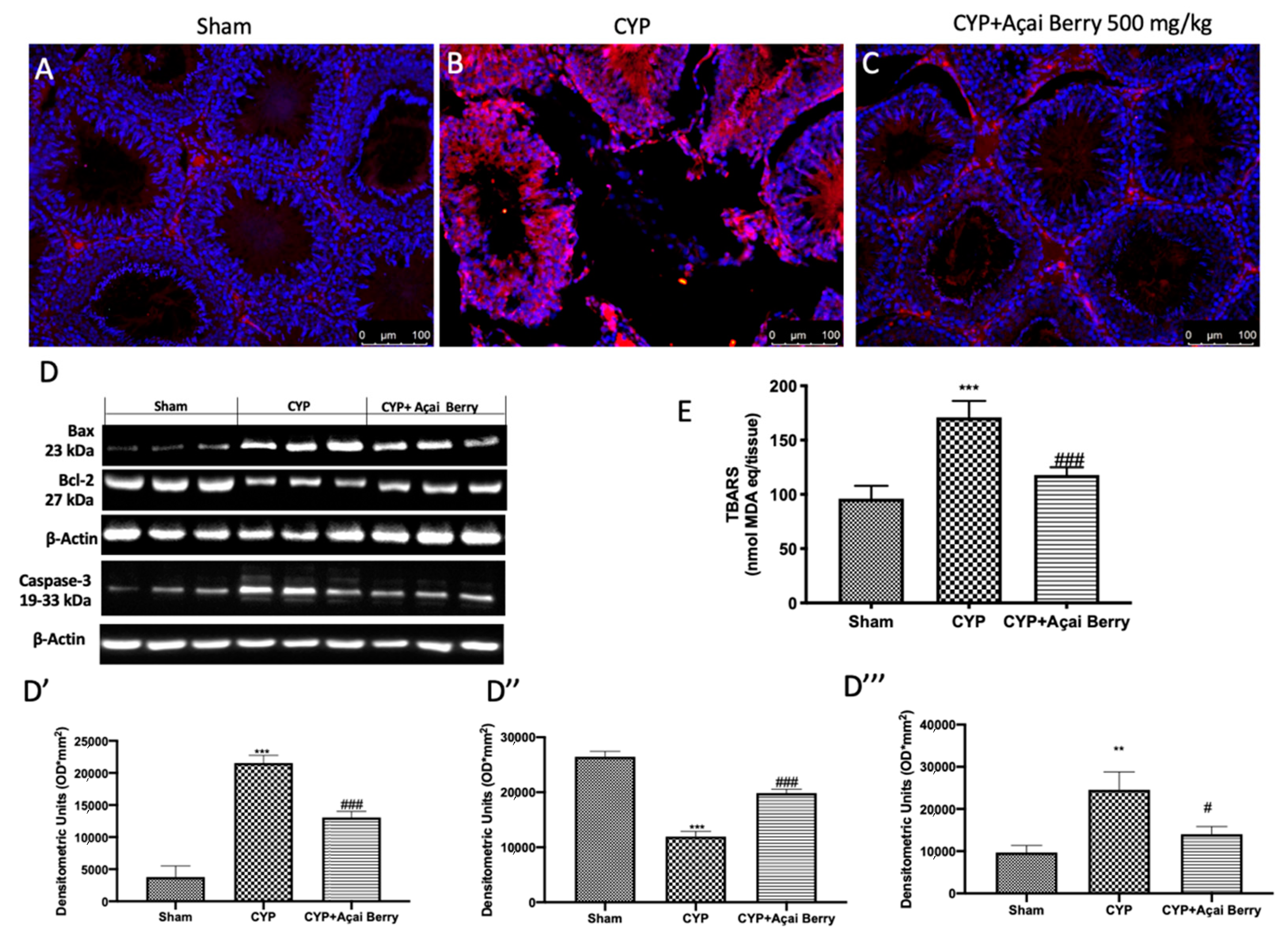 Antioxidants 11 02355 g008