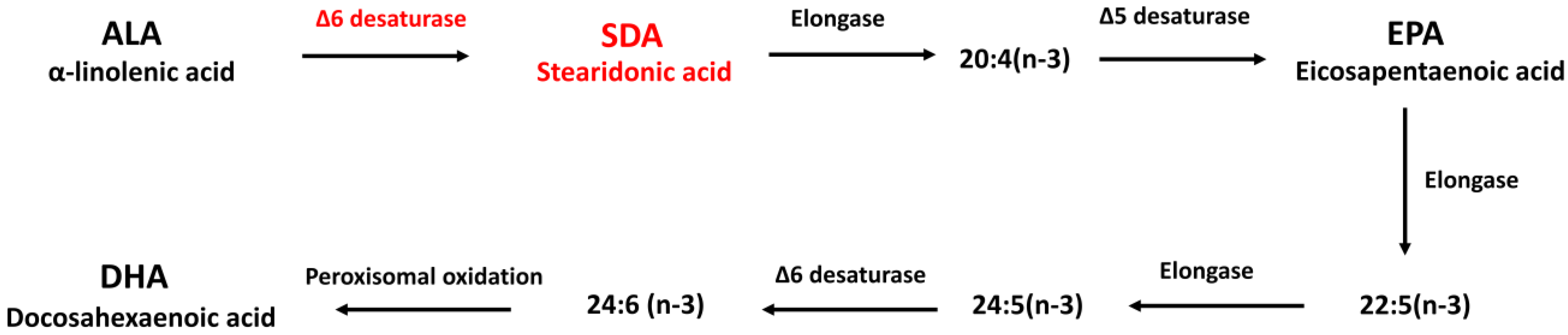 Antioxidants 11 02357 g001