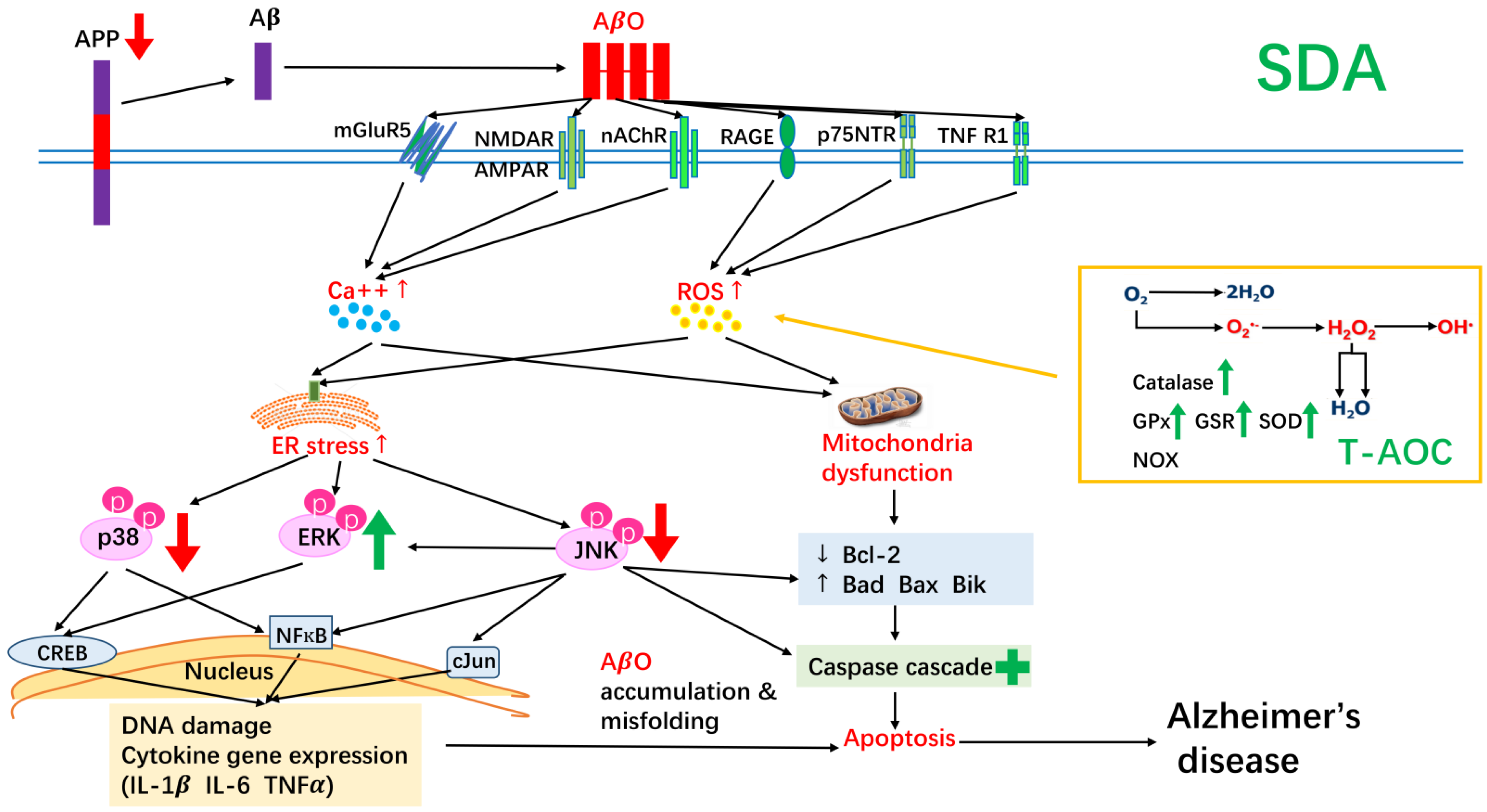 Antioxidants 11 02357 g007