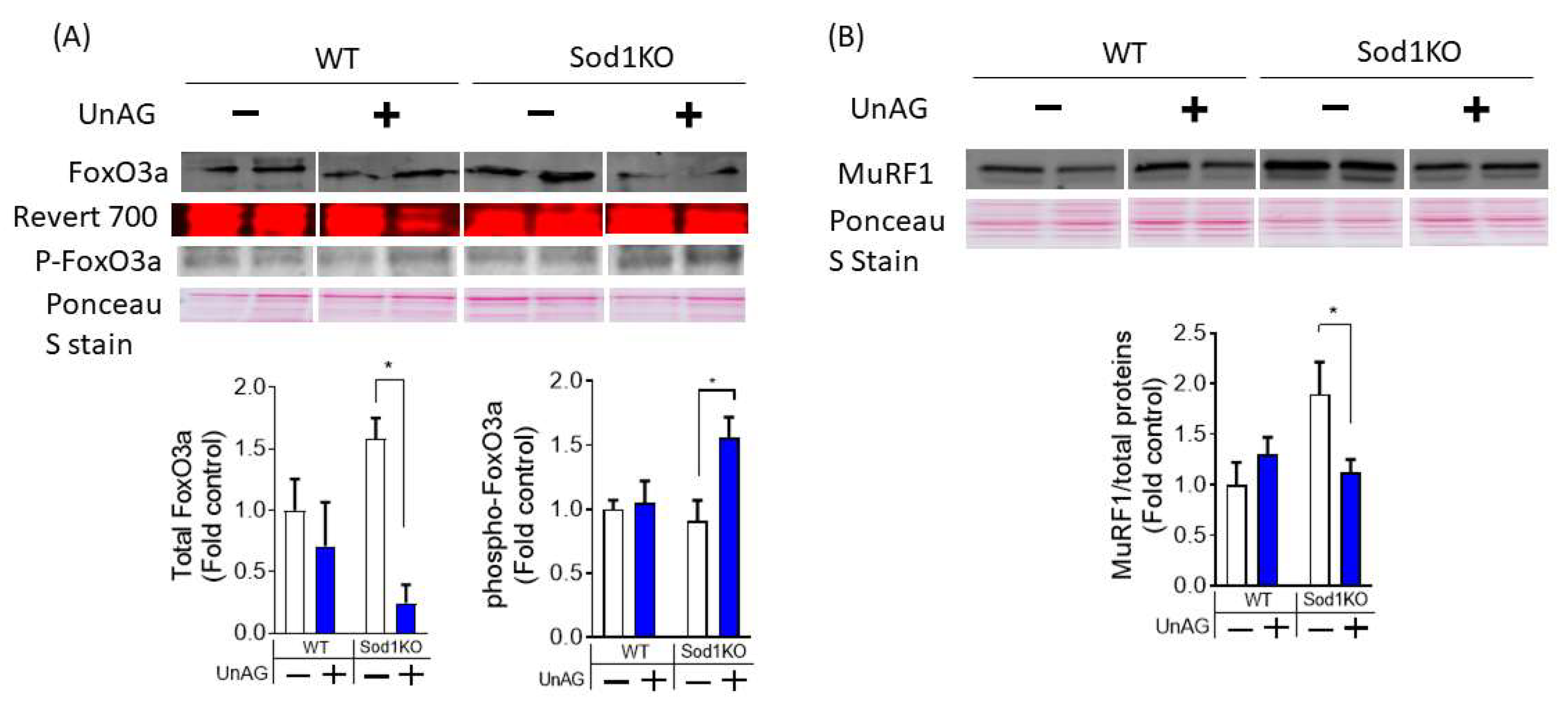 Antioxidants 11 02358 g006