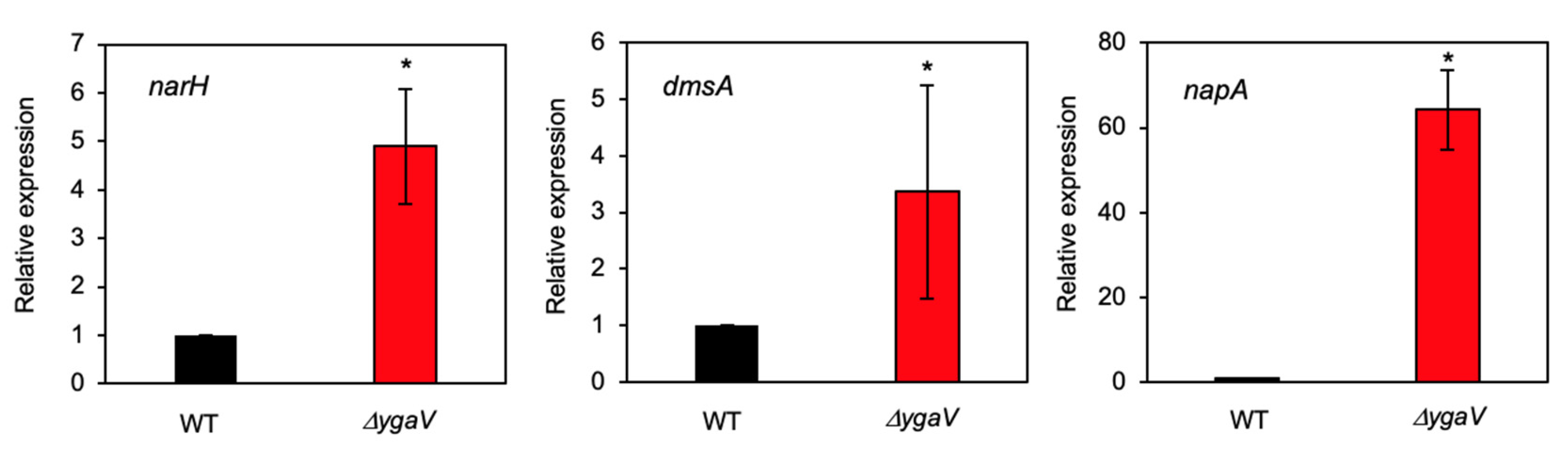 Antioxidants 11 02359 g001 Antioxidants 11 02359 g001