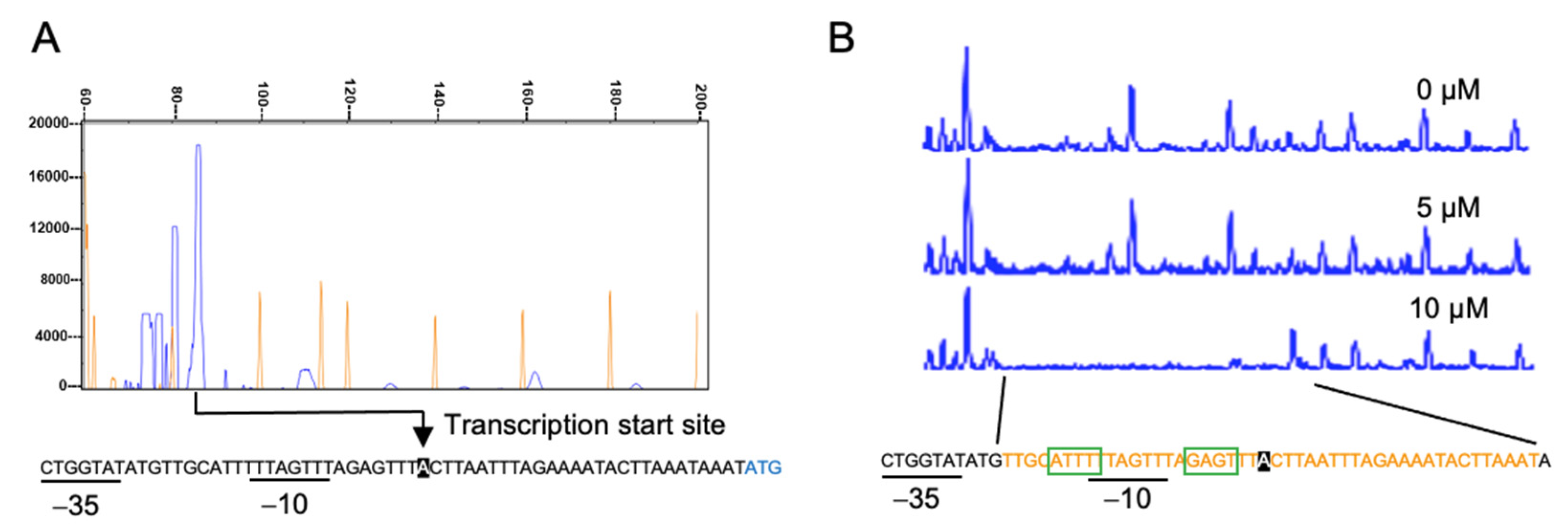 Antioxidants 11 02359 g003 Antioxidants 11 02359 g003