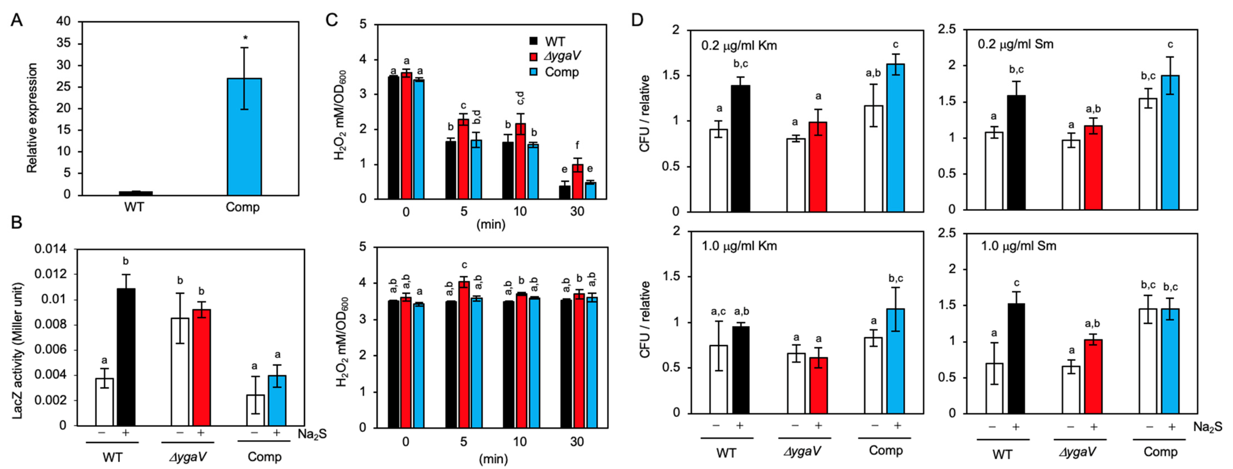 Antioxidants 11 02359 g008 Antioxidants 11 02359 g008
