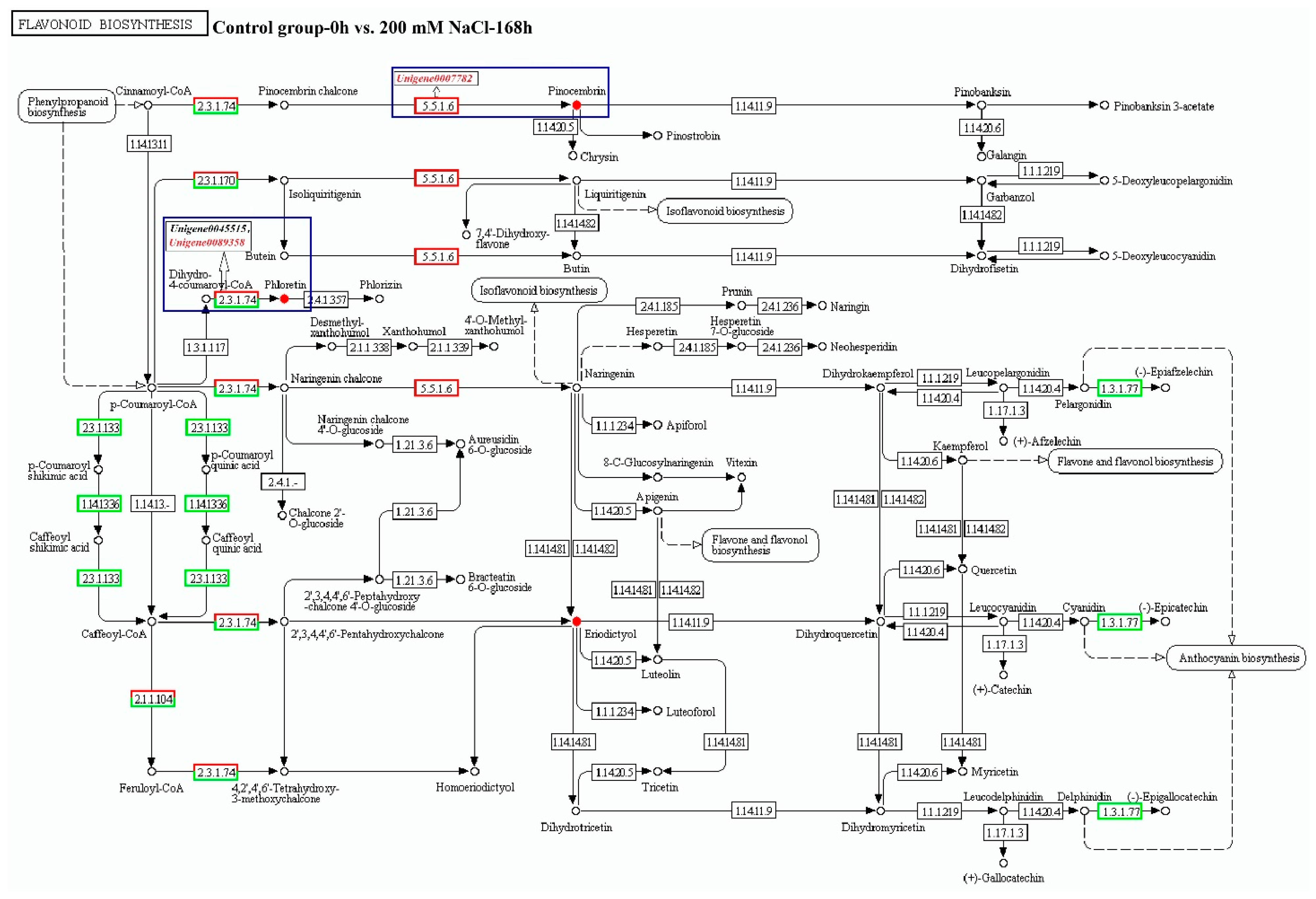 Antioxidants 11 02362 g003b