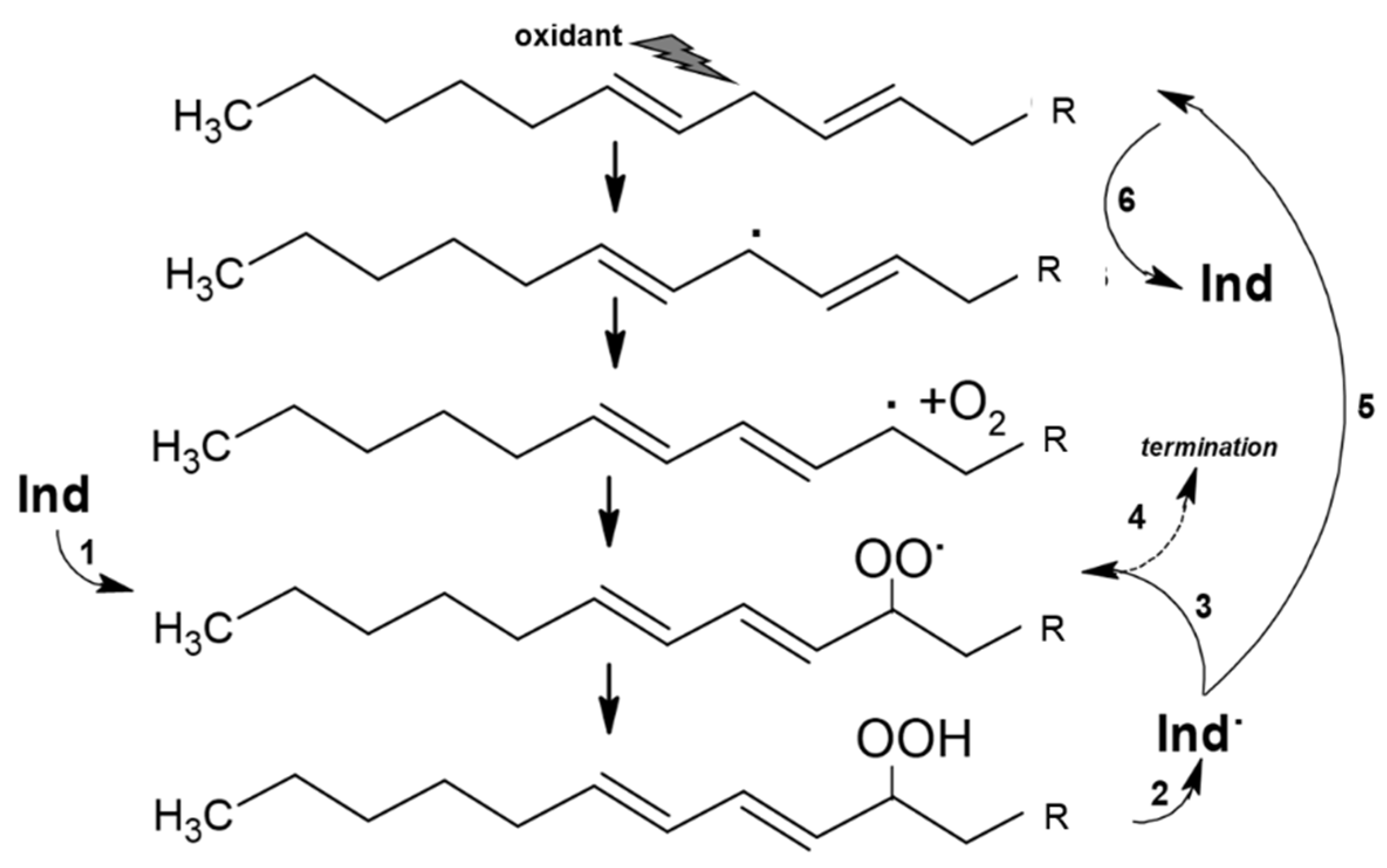 Antioxidants 11 02364 g002