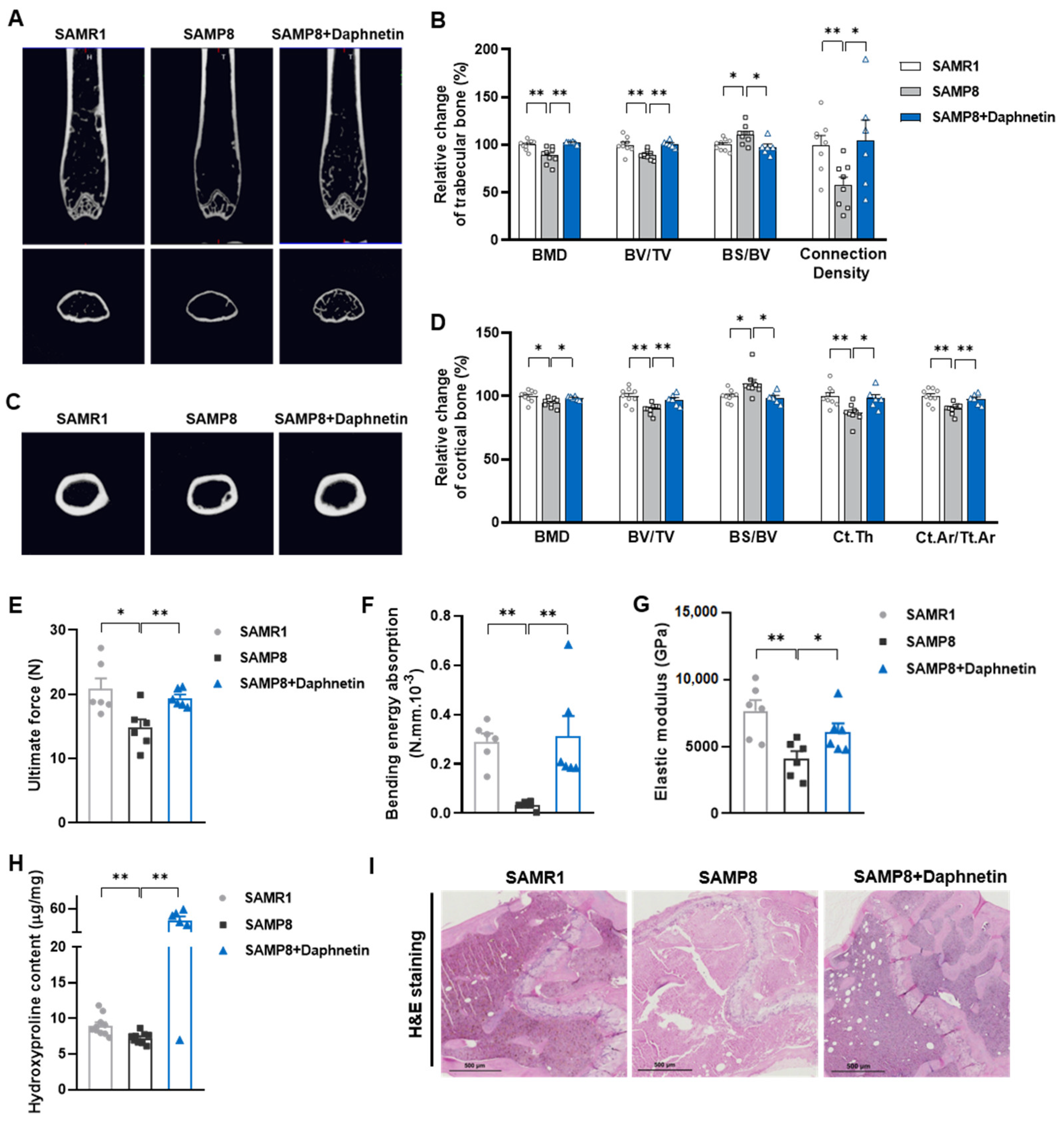 Antioxidants 11 02365 g001