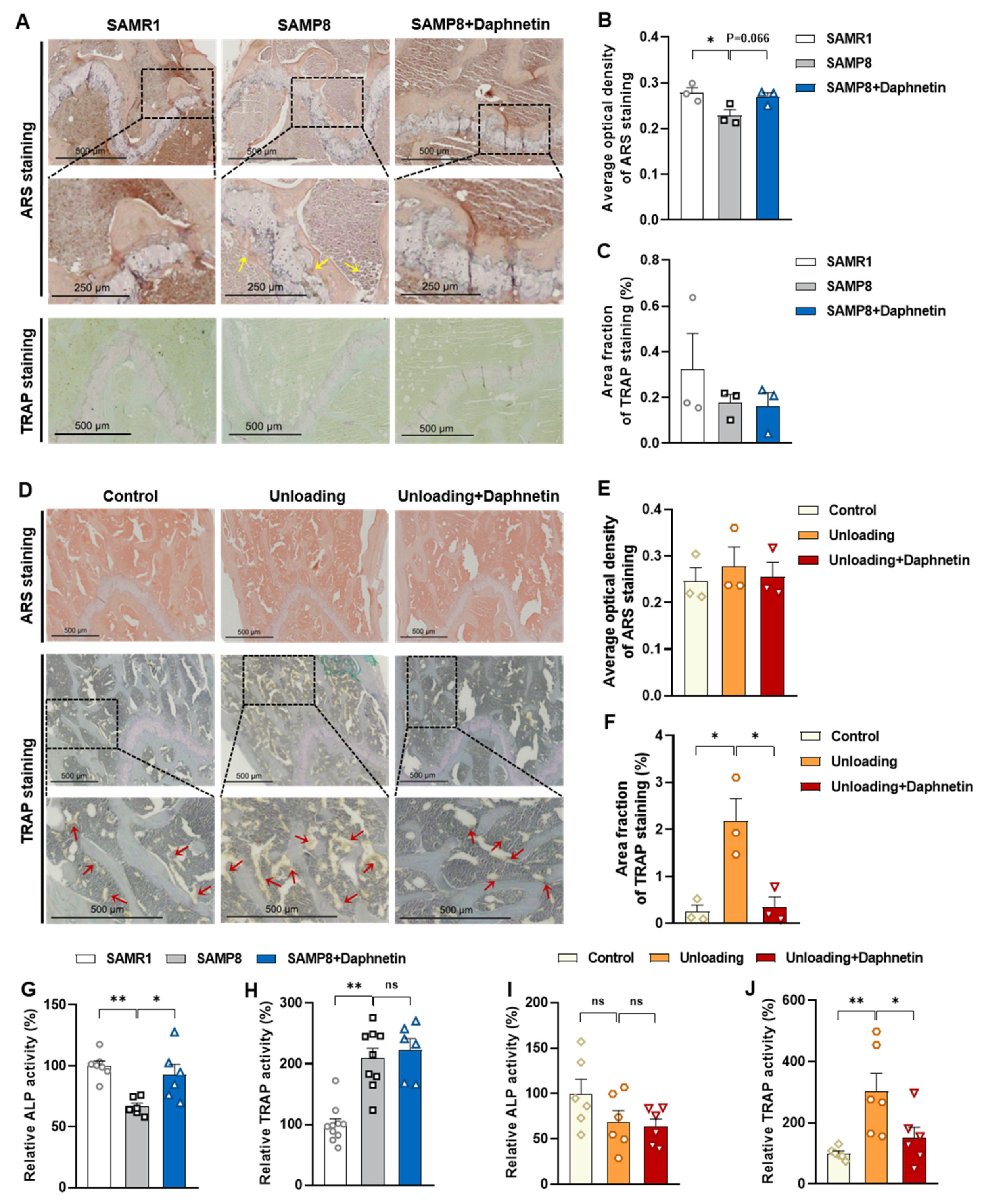 Antioxidants 11 02365 g004