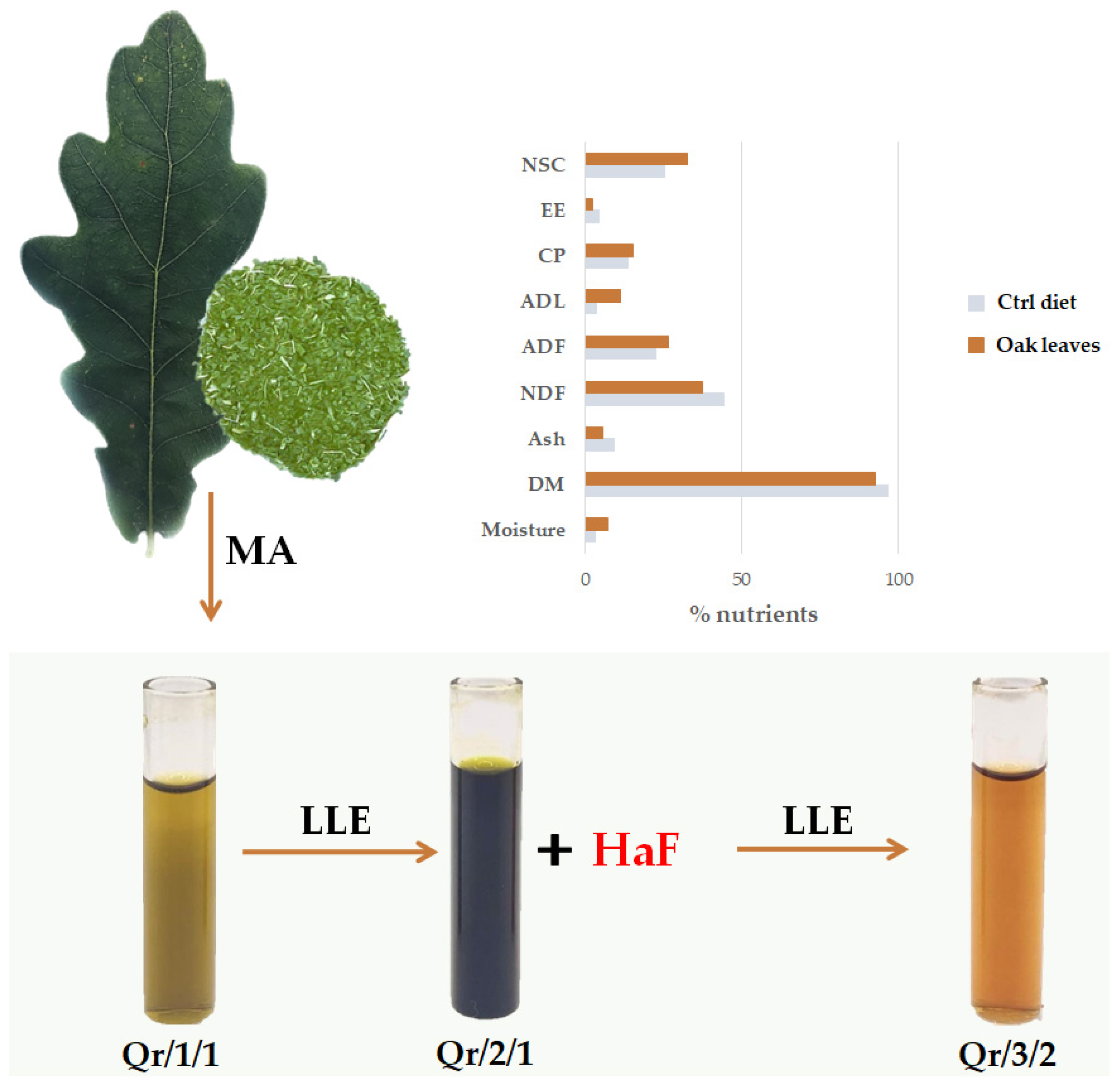 Antioxidants 11 02366 g001
