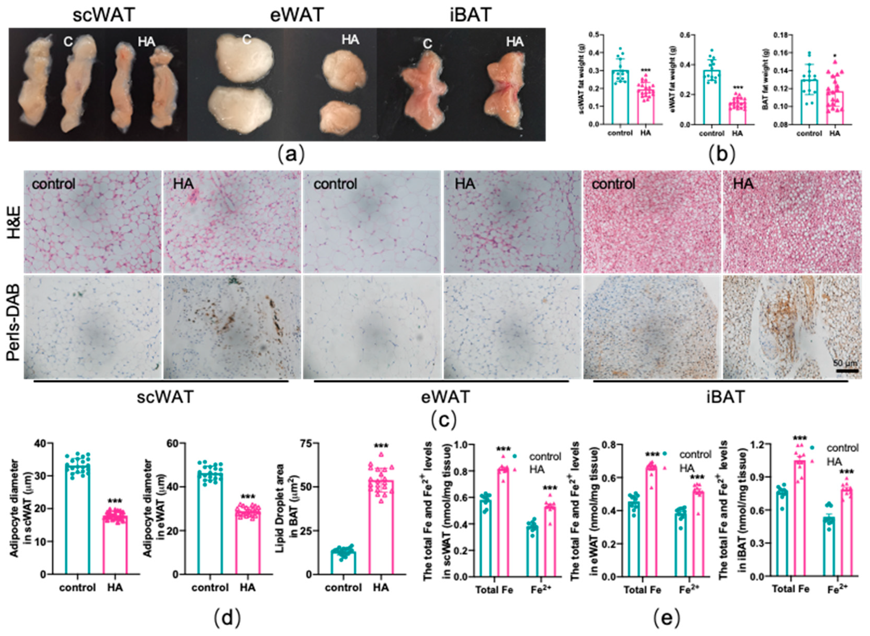 Antioxidants 11 02367 g002