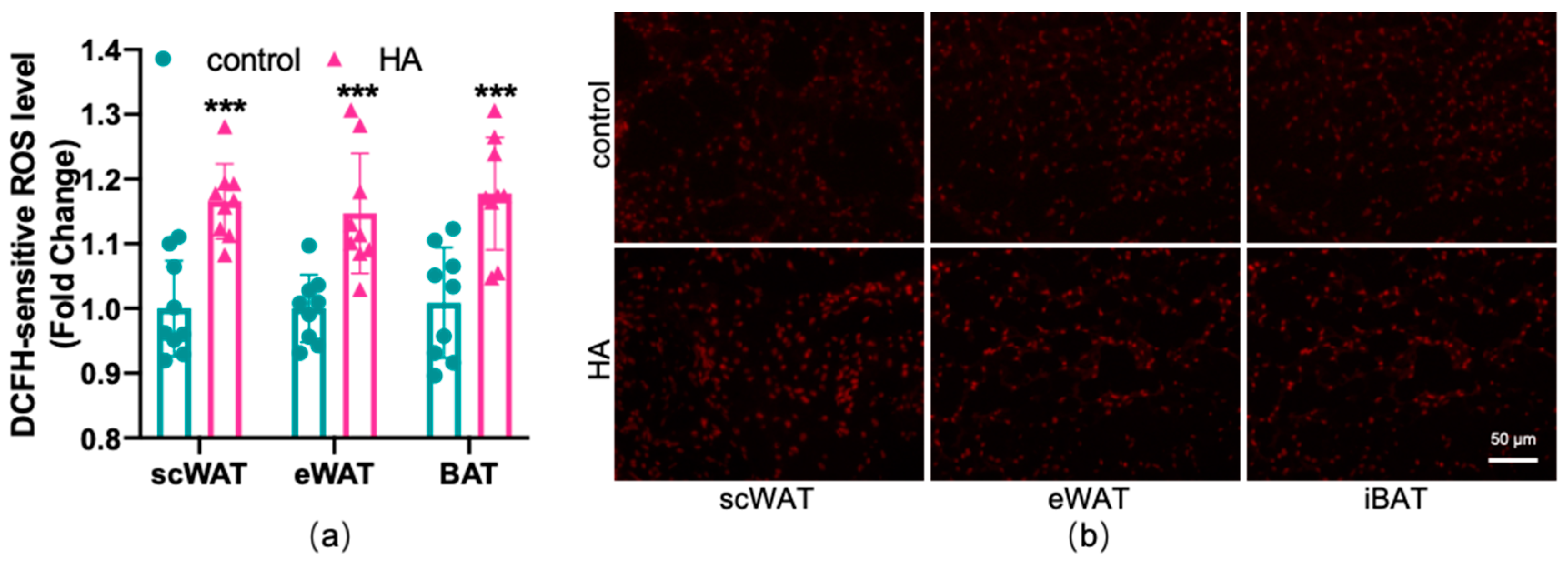 Antioxidants 11 02367 g003